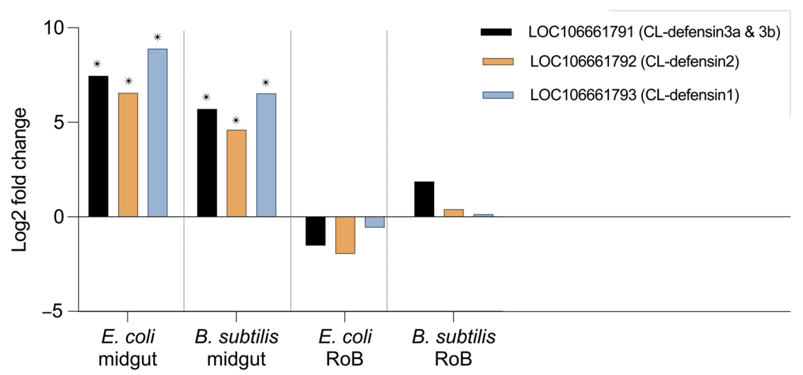 Ijms 23 11505 g004 Ijms 23 11505 g004