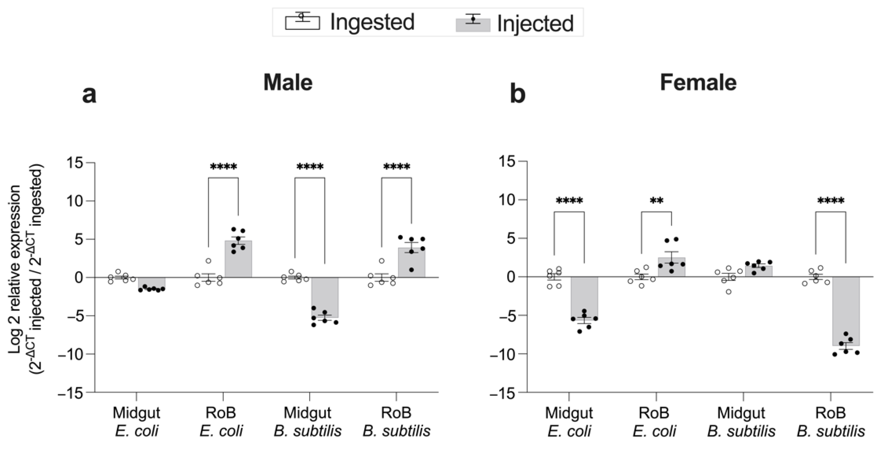 Ijms 23 11505 g007 Ijms 23 11505 g007