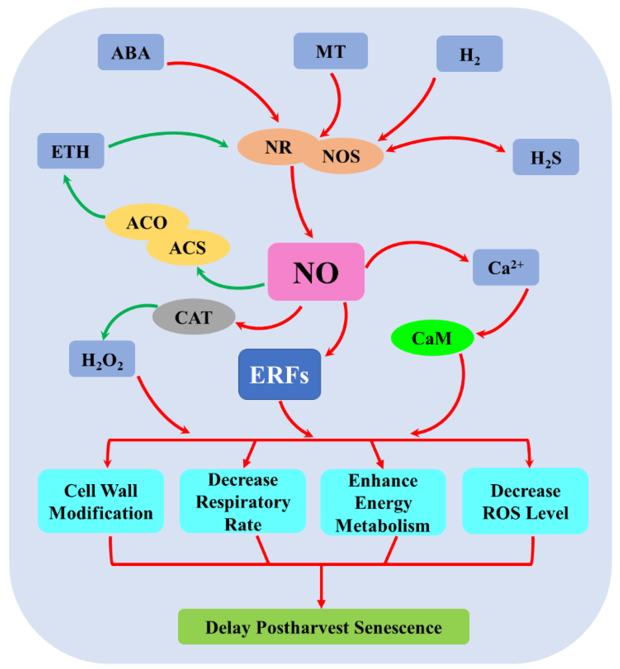 Ijms 23 11512 g004 Ijms 23 11512 g004