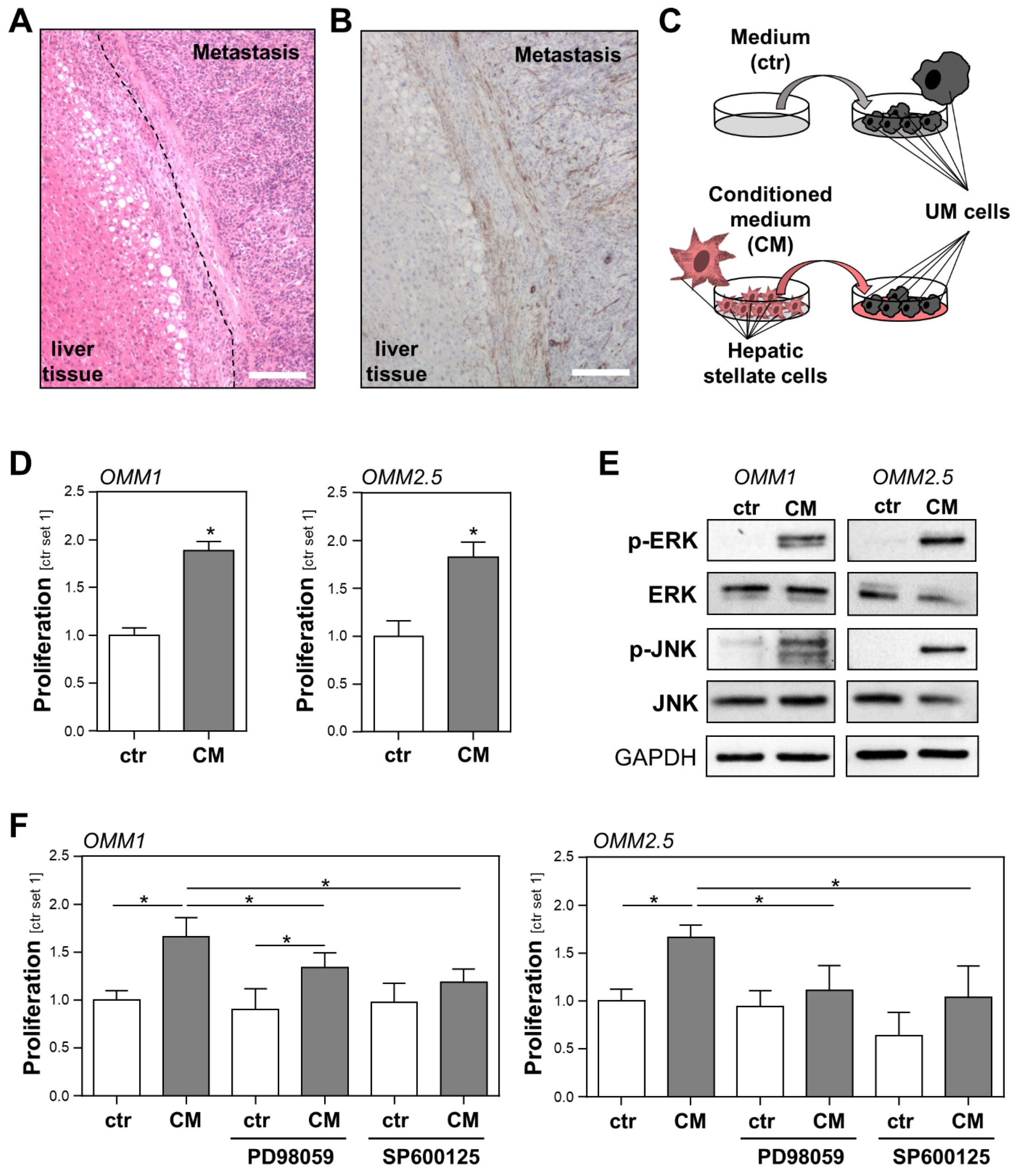 Ijms 23 11524 g001 Ijms 23 11524 g001