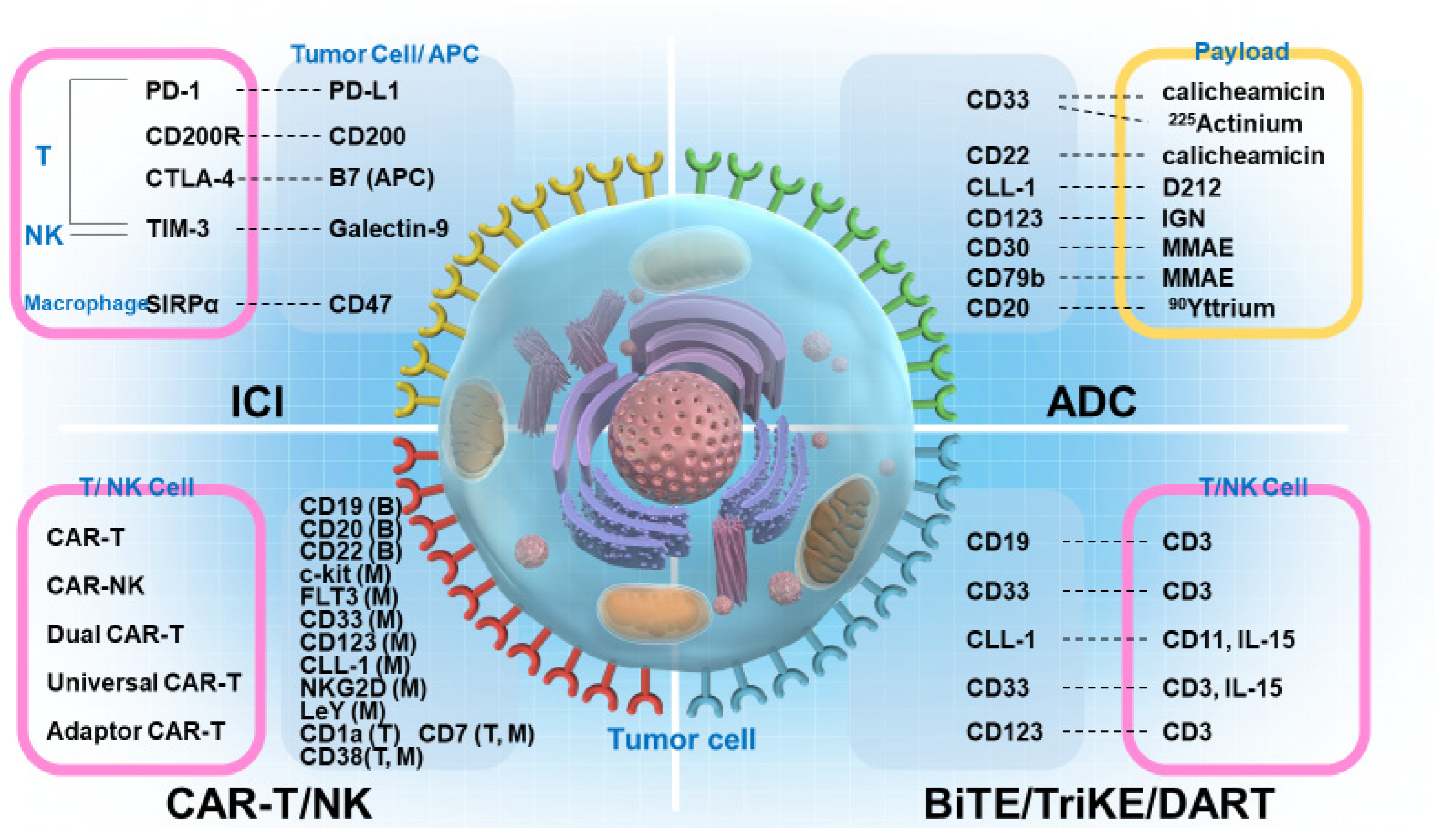 Ijms 23 11526 g002 Ijms 23 11526 g002
