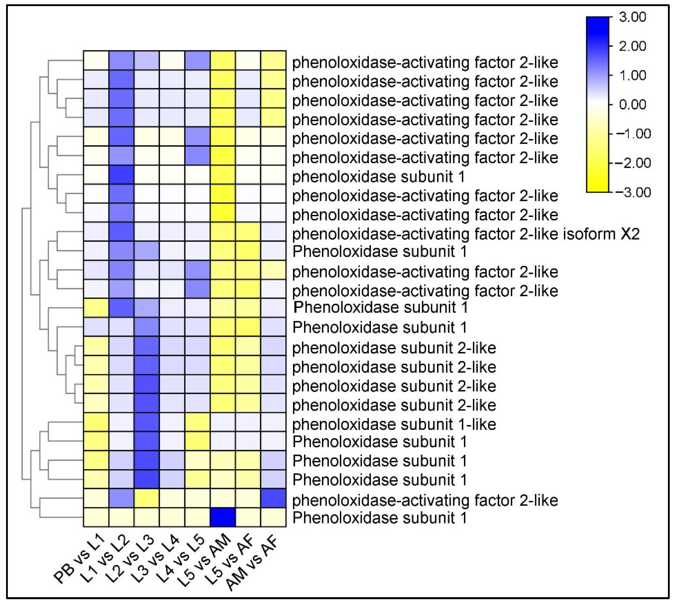 Ijms 23 11533 g004 Ijms 23 11533 g004