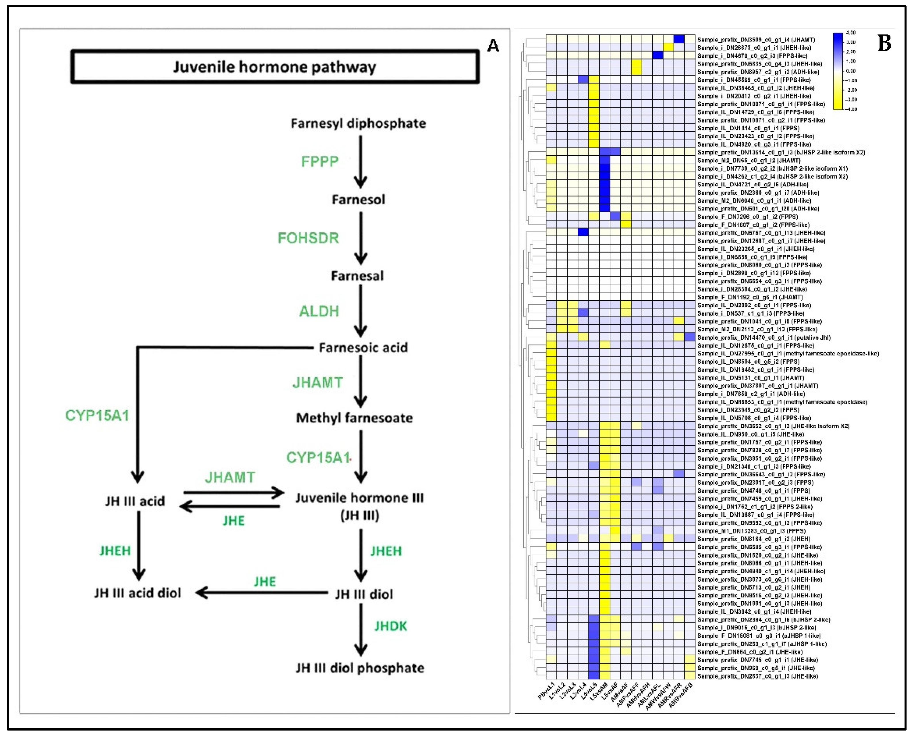Ijms 23 11533 g005 Ijms 23 11533 g005