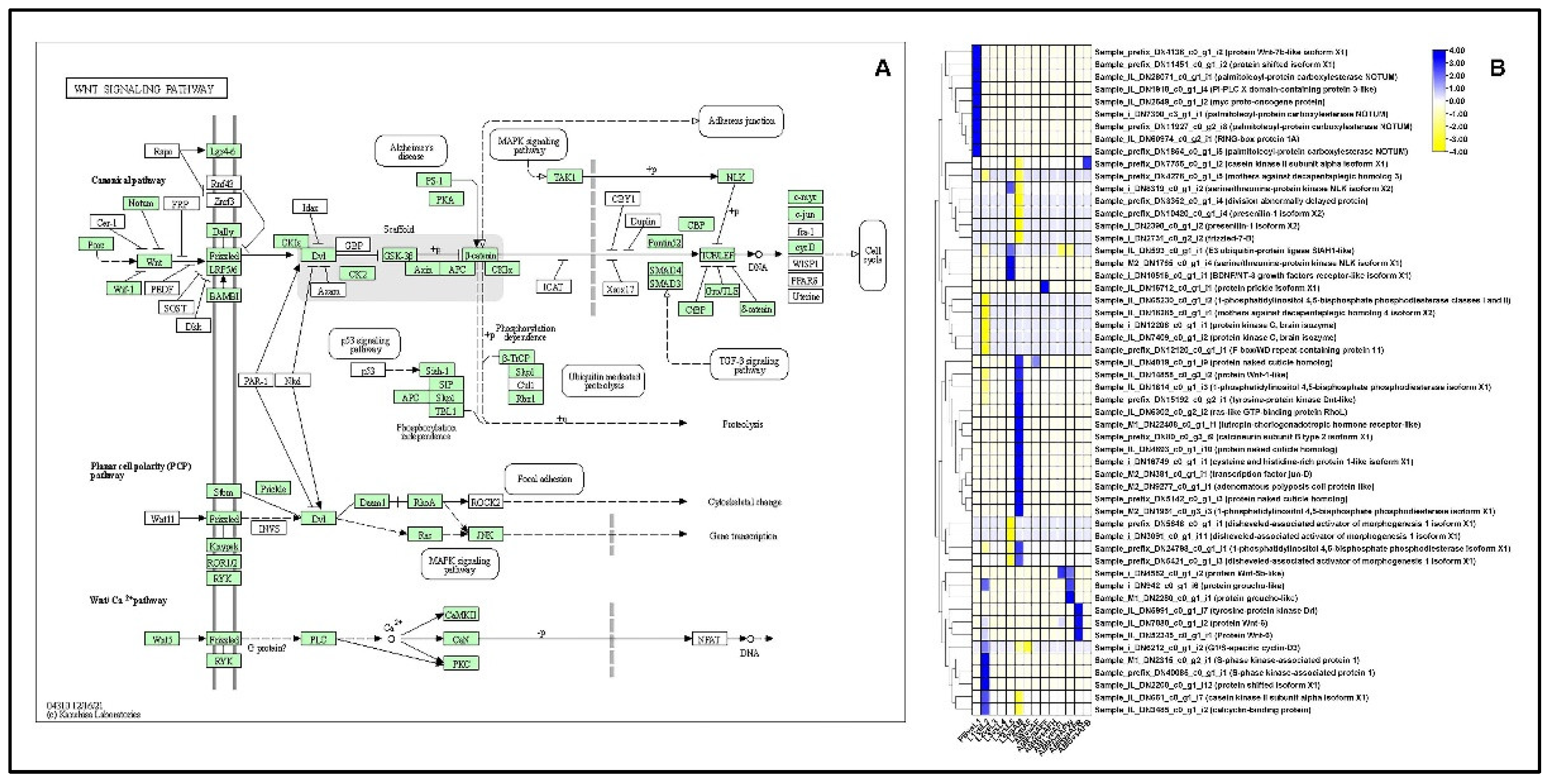 Ijms 23 11533 g008 Ijms 23 11533 g008