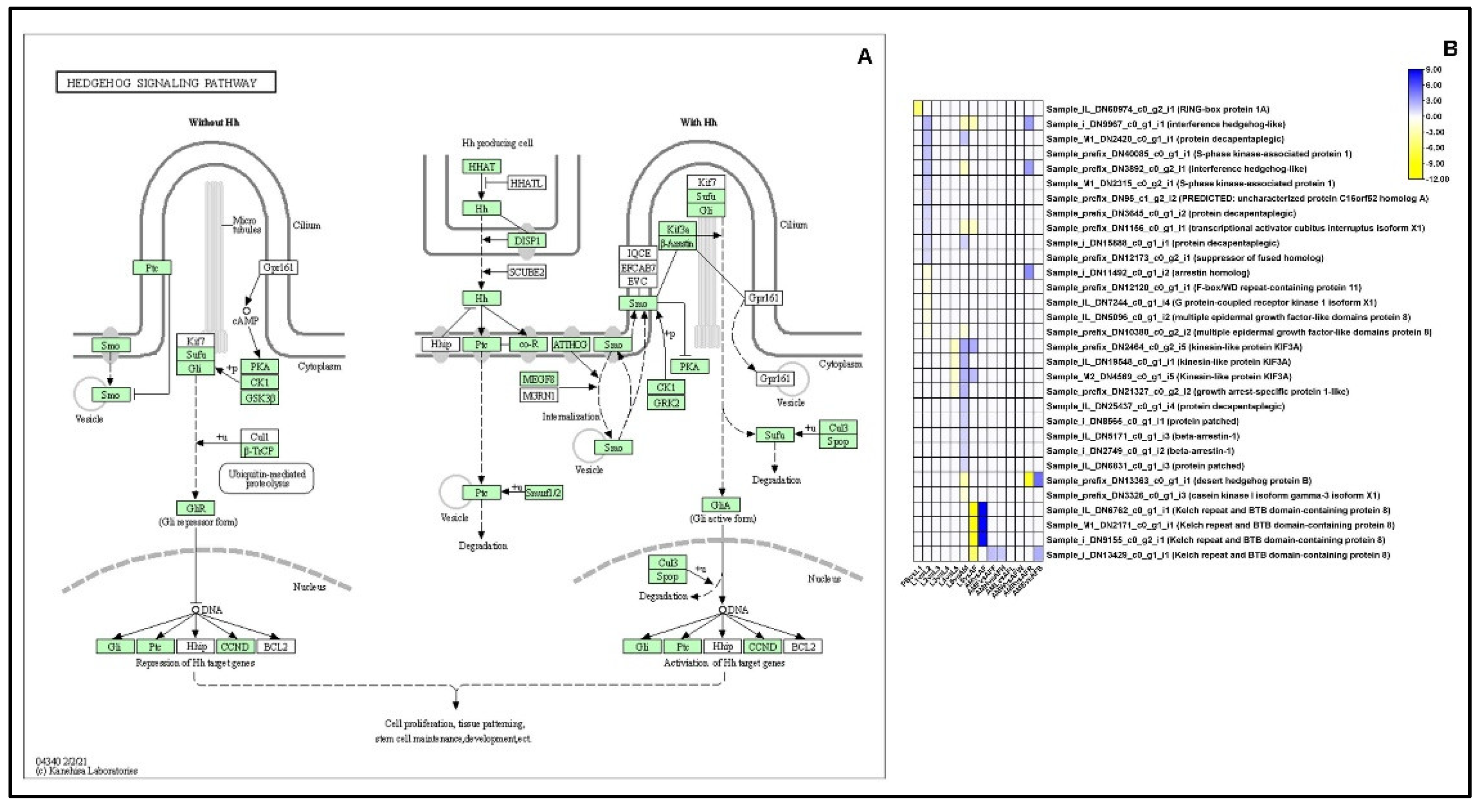 Ijms 23 11533 g009 Ijms 23 11533 g009