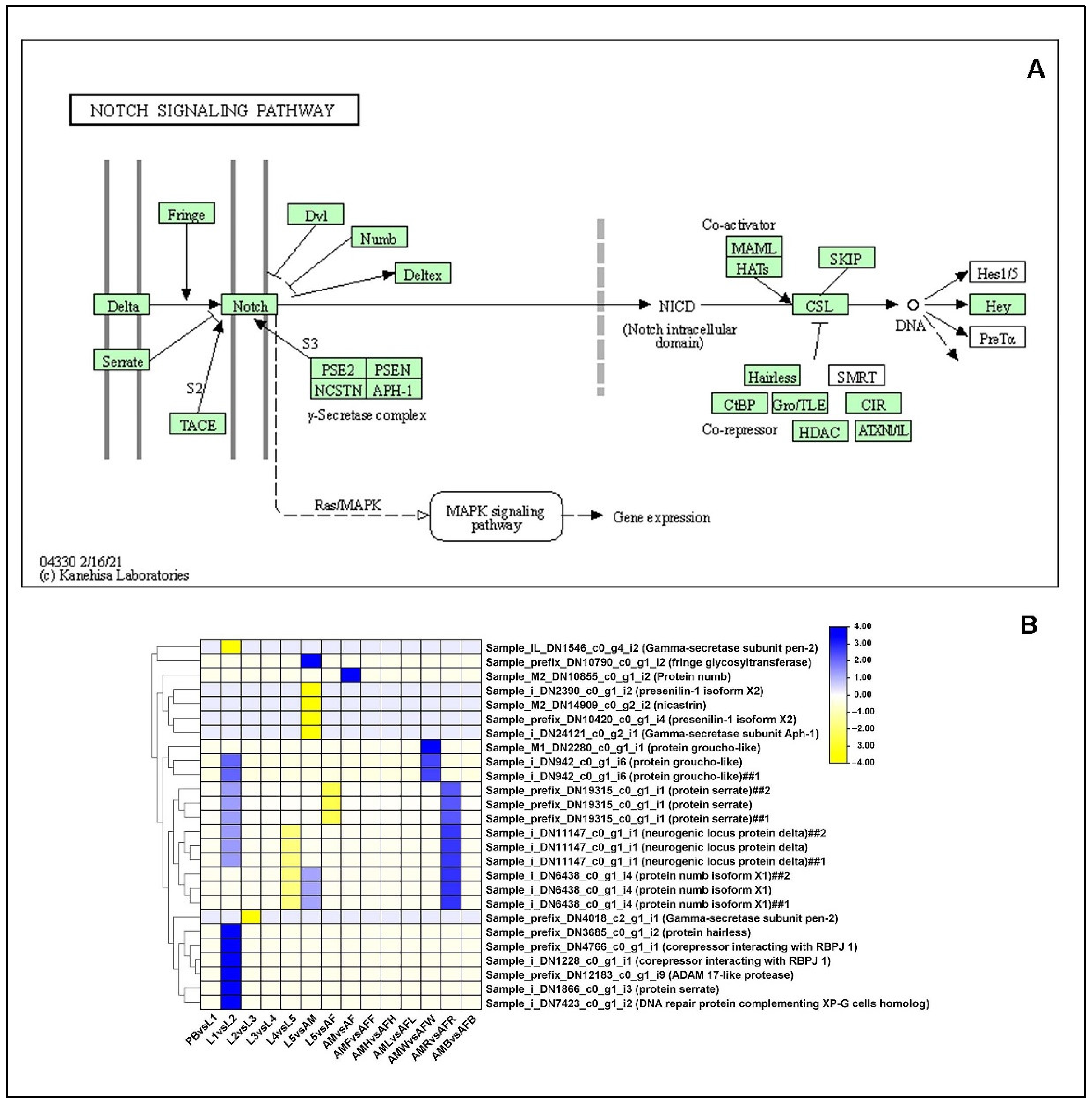Ijms 23 11533 g010 Ijms 23 11533 g010