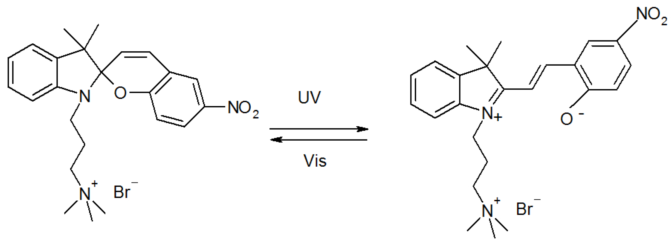 Ijms 23 11535 g002 Ijms 23 11535 g002