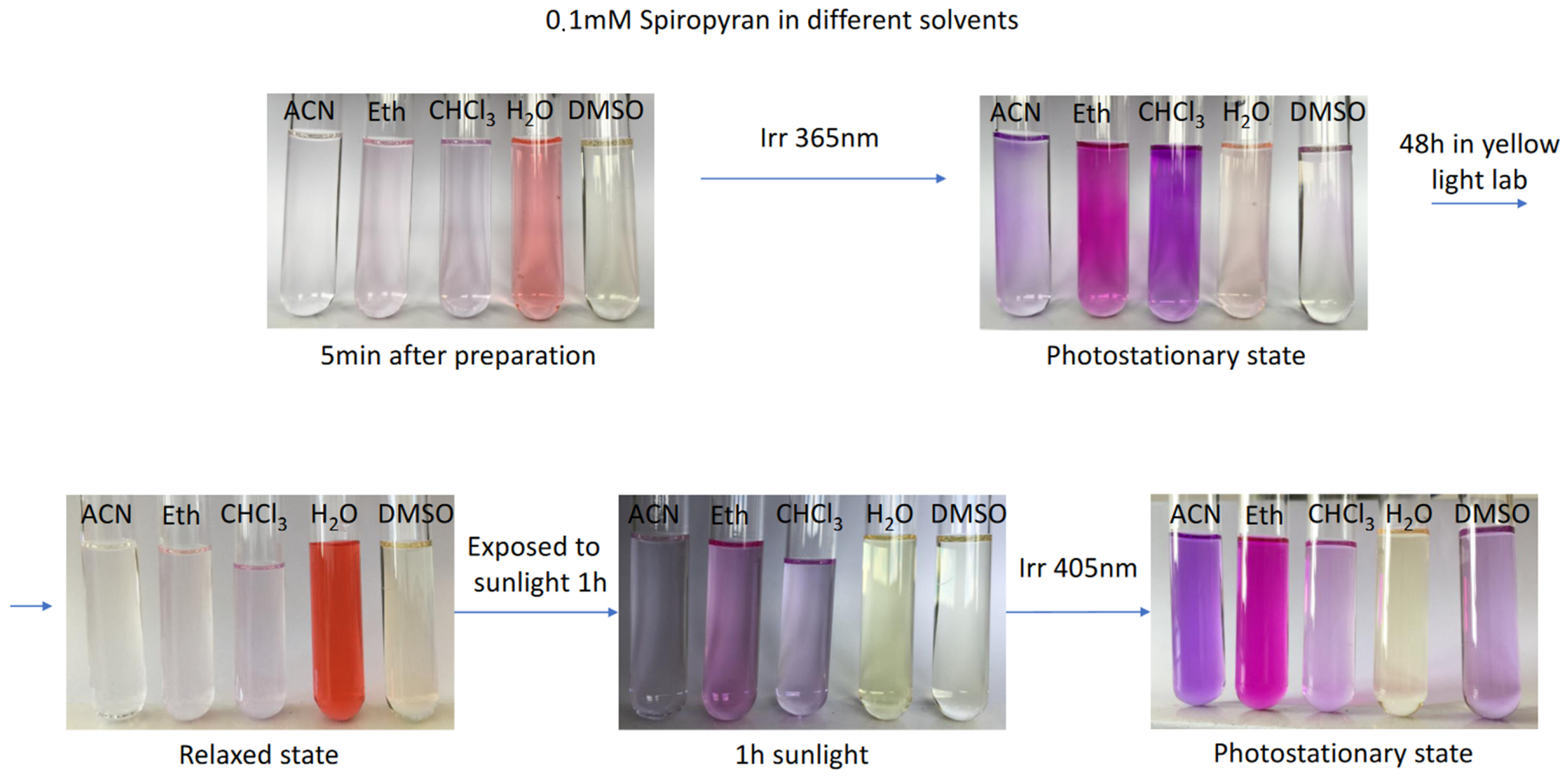 Ijms 23 11535 g006 Ijms 23 11535 g006