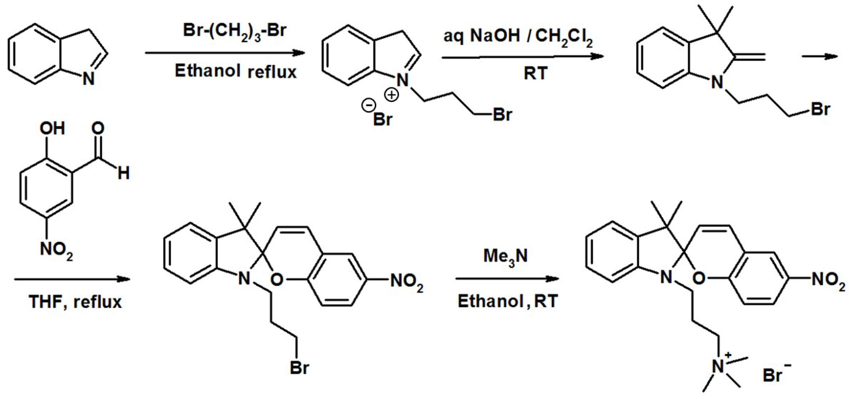 Ijms 23 11535 g012 Ijms 23 11535 g012