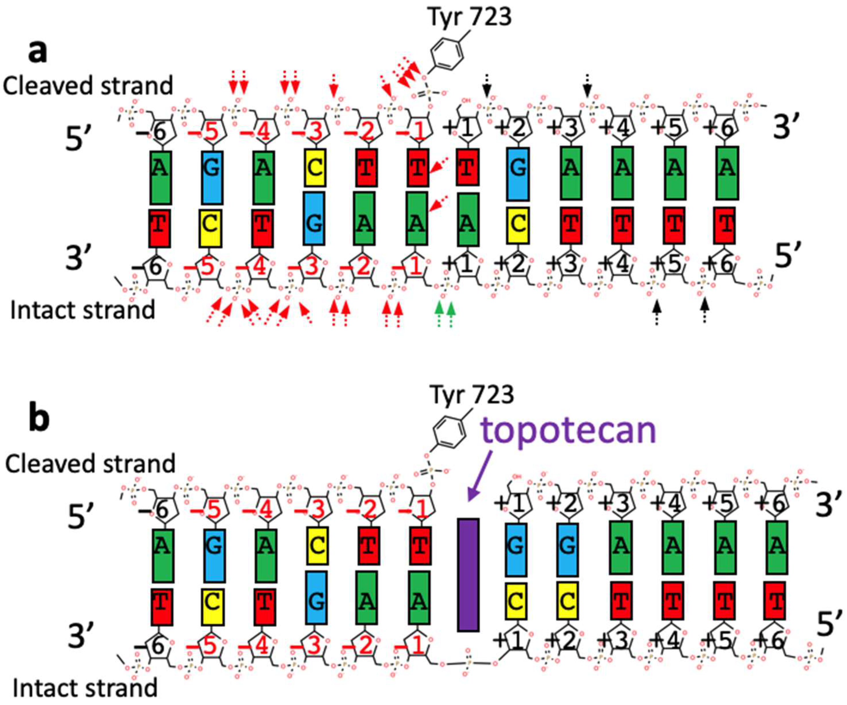 Ijms 23 11541 g002 Ijms 23 11541 g002