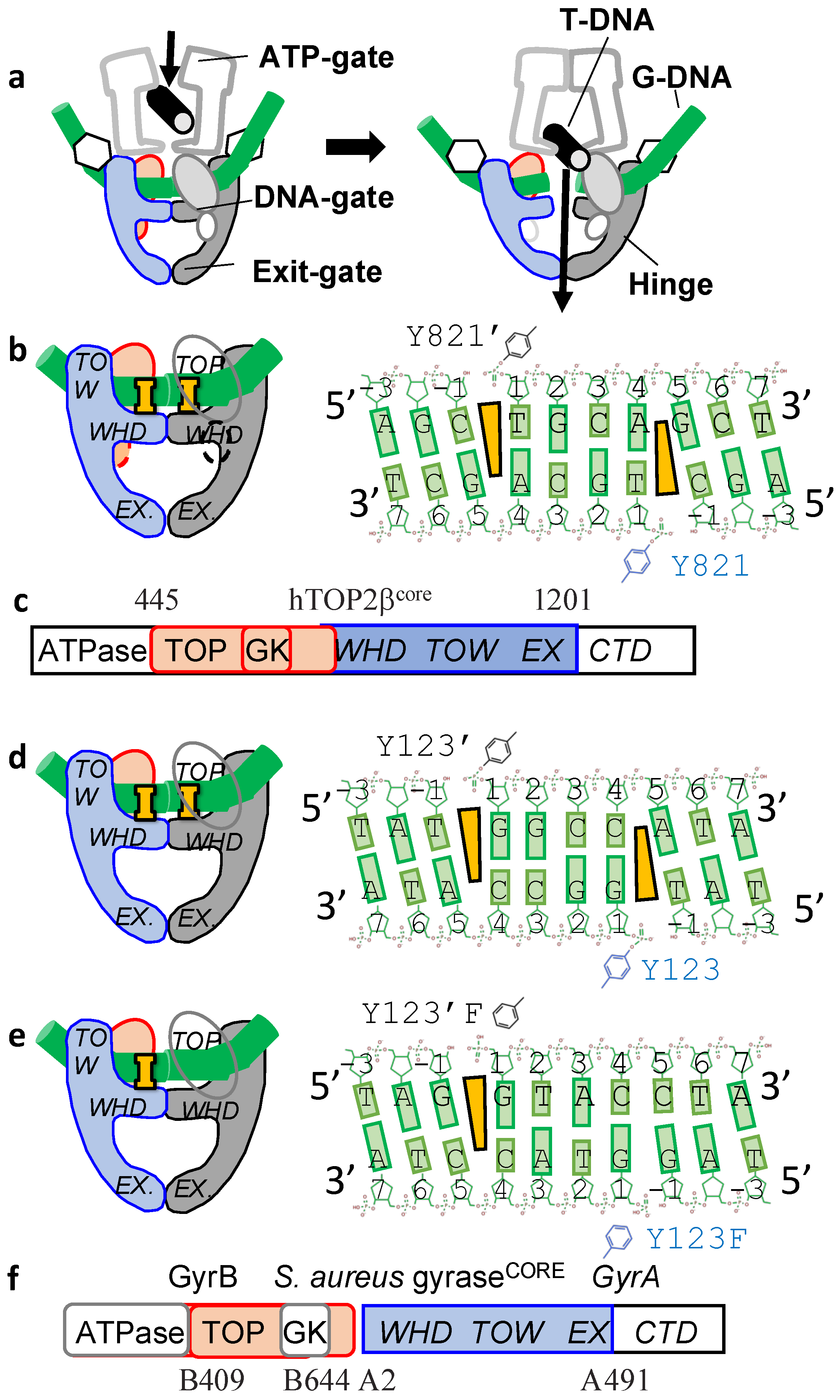 Ijms 23 11541 g003 Ijms 23 11541 g003