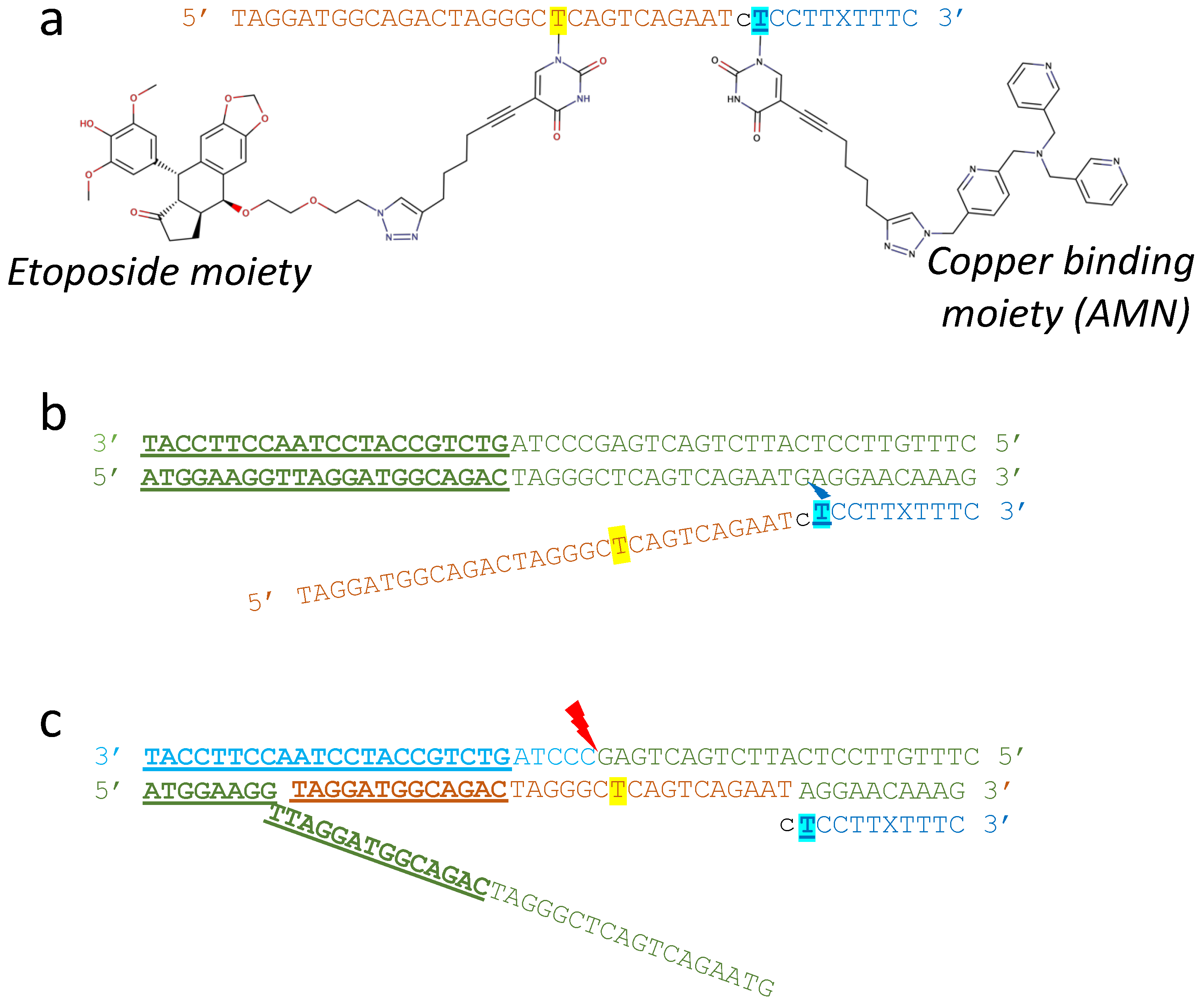 Ijms 23 11541 g005 Ijms 23 11541 g005