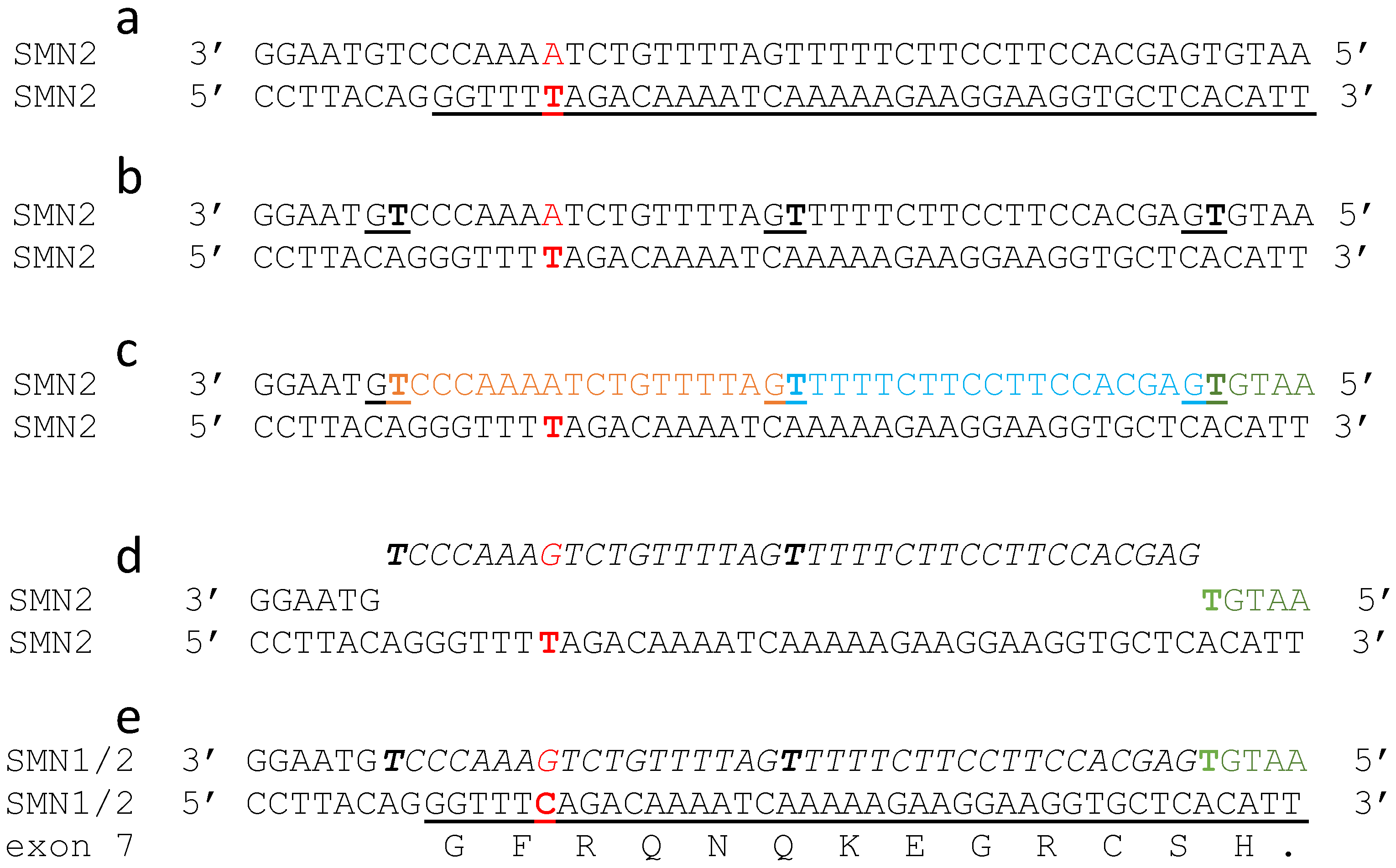 Ijms 23 11541 g008 Ijms 23 11541 g008