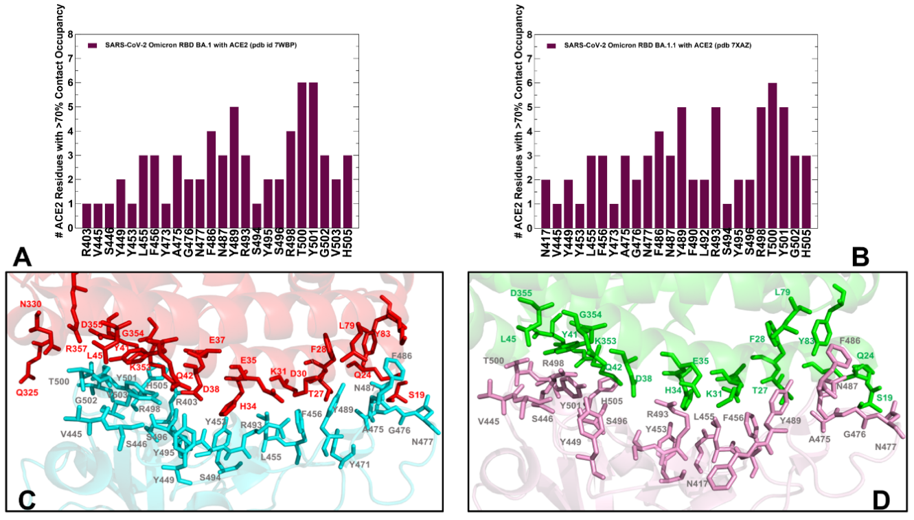 Ijms 23 11542 g003 Ijms 23 11542 g003