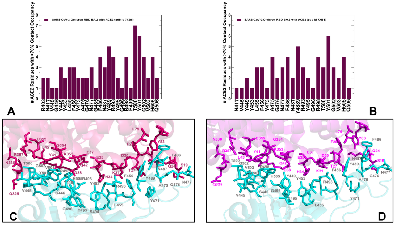Ijms 23 11542 g004 Ijms 23 11542 g004
