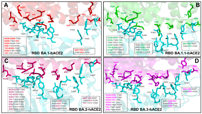 Ijms 23 11542 g009 Ijms 23 11542 g009