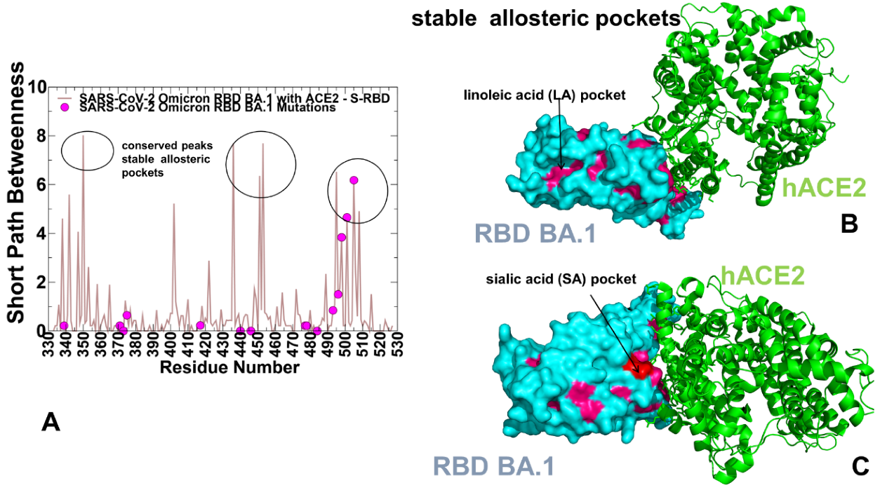 Ijms 23 11542 g010 Ijms 23 11542 g010