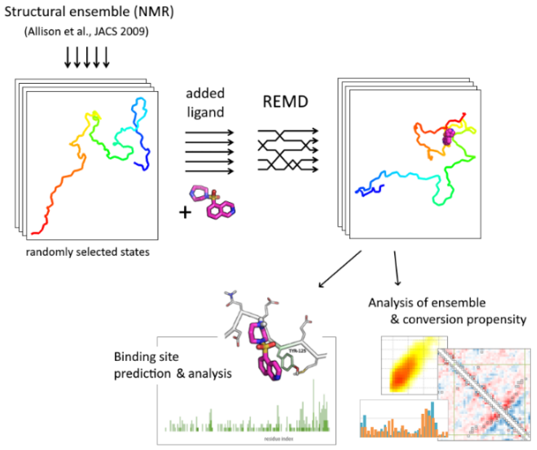 Ijms 23 11545 g005 Ijms 23 11545 g005