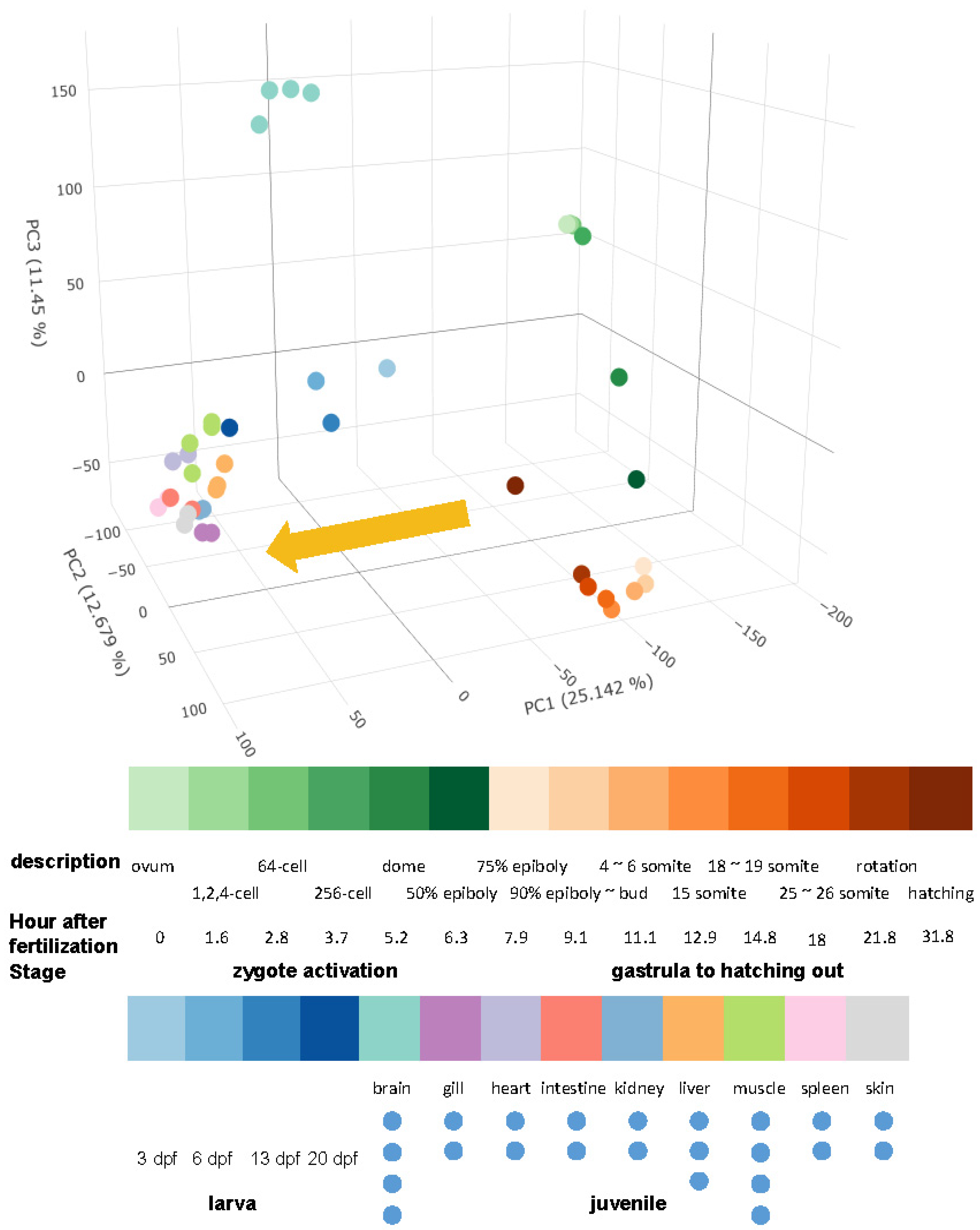 Ijms 23 11547 g002 Ijms 23 11547 g002