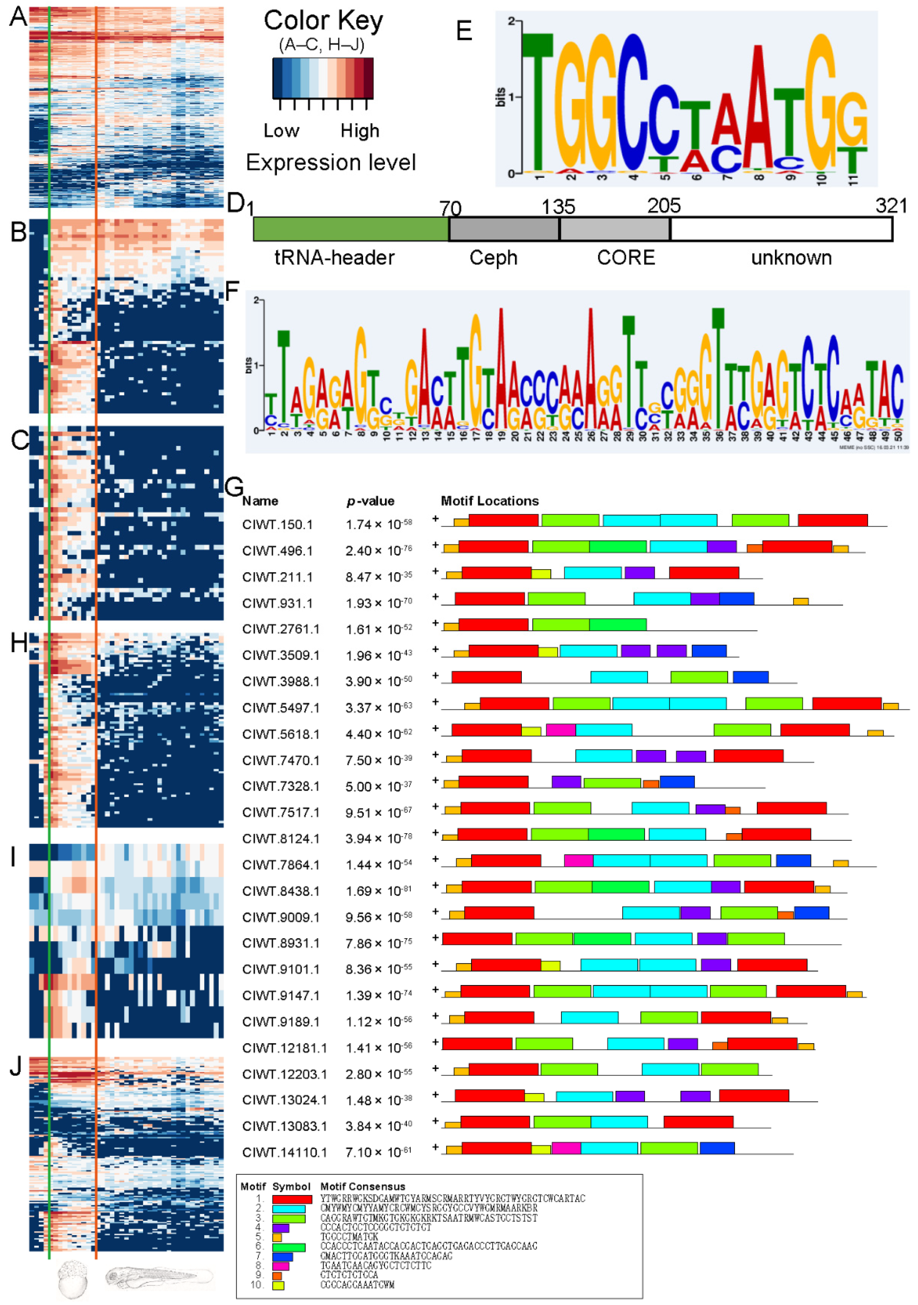 Ijms 23 11547 g005 Ijms 23 11547 g005