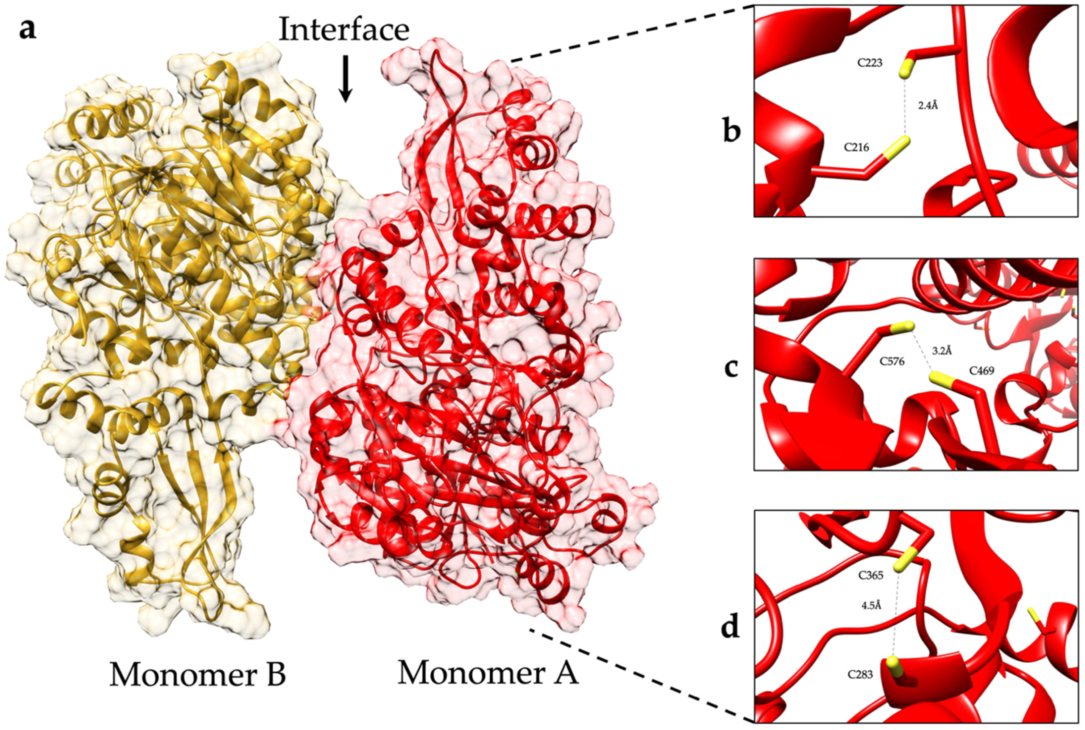 Ijms 23 11552 g004 Ijms 23 11552 g004