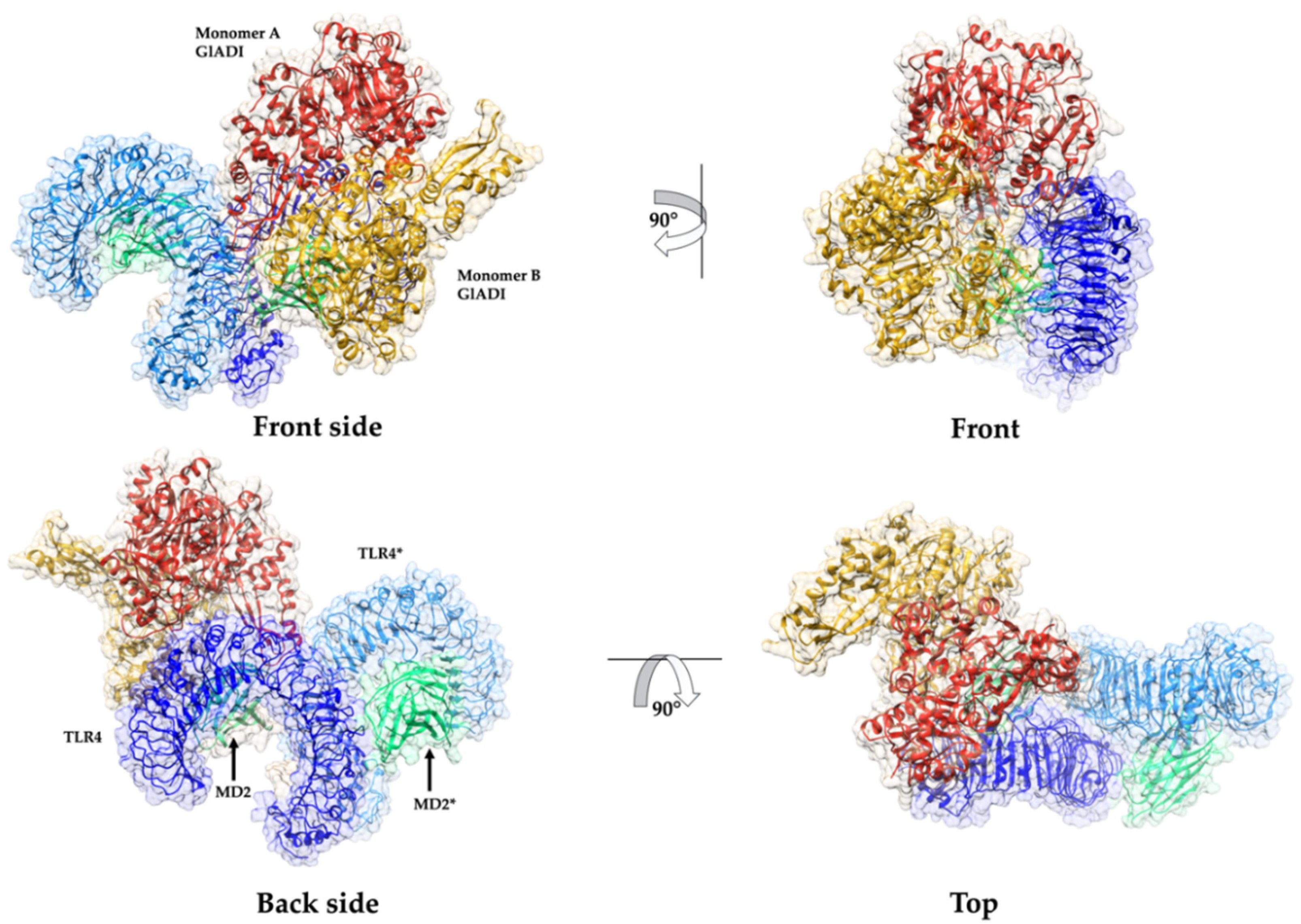 Ijms 23 11552 g007 Ijms 23 11552 g007