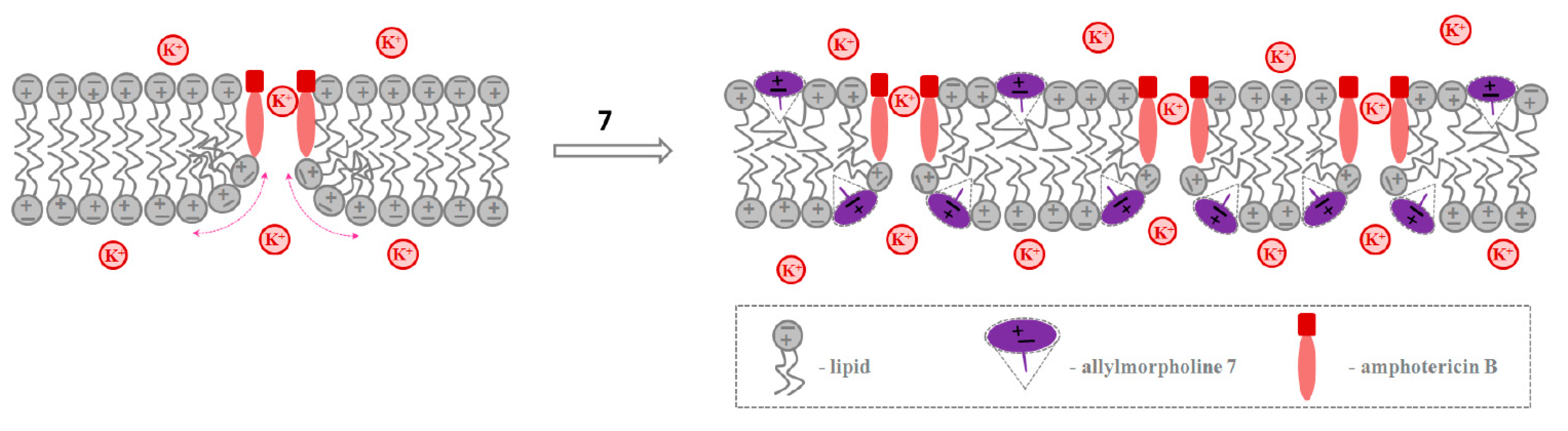 Ijms 23 11554 g006 Ijms 23 11554 g006