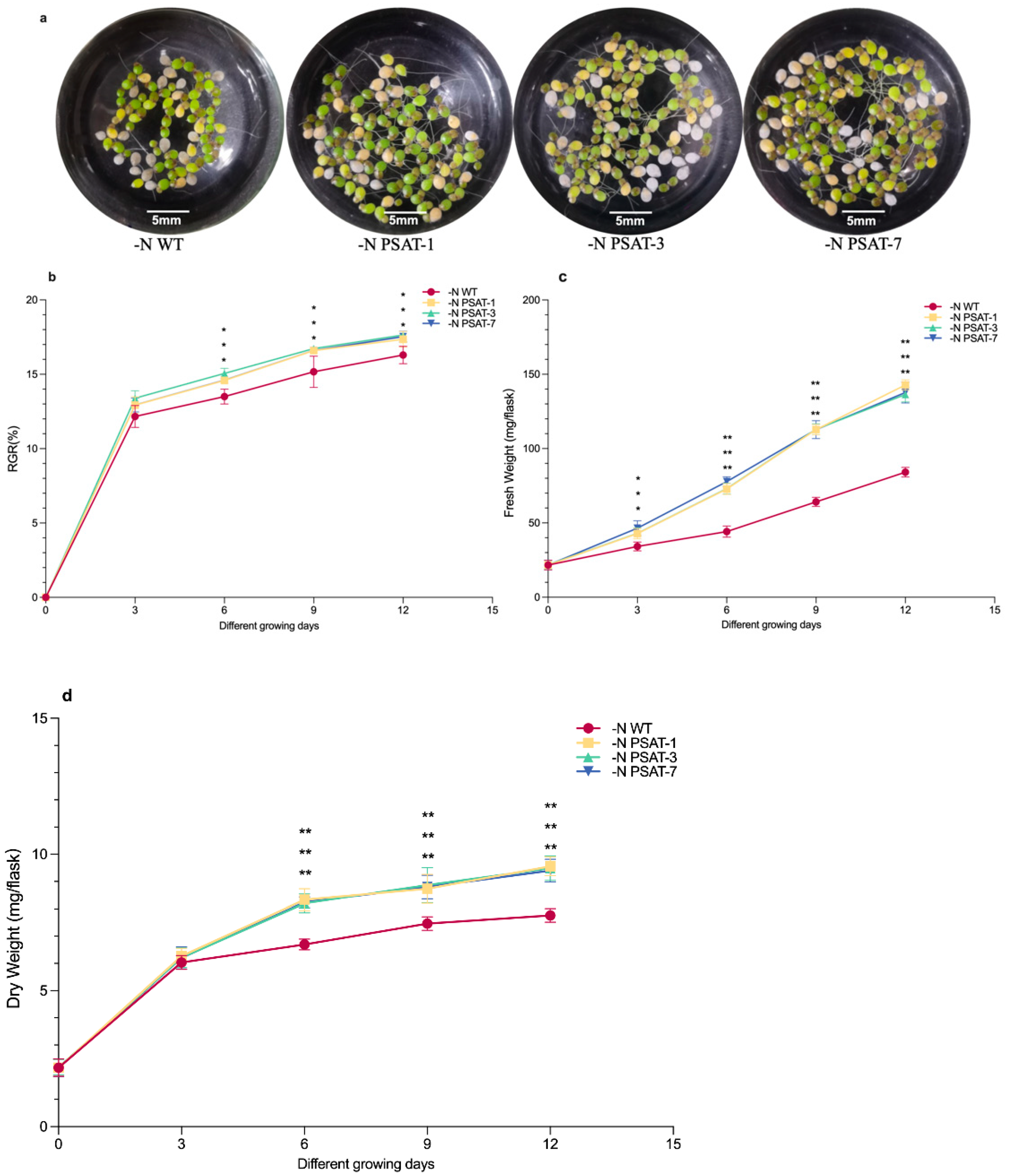 Ijms 23 11563 g002a Ijms 23 11563 g002a