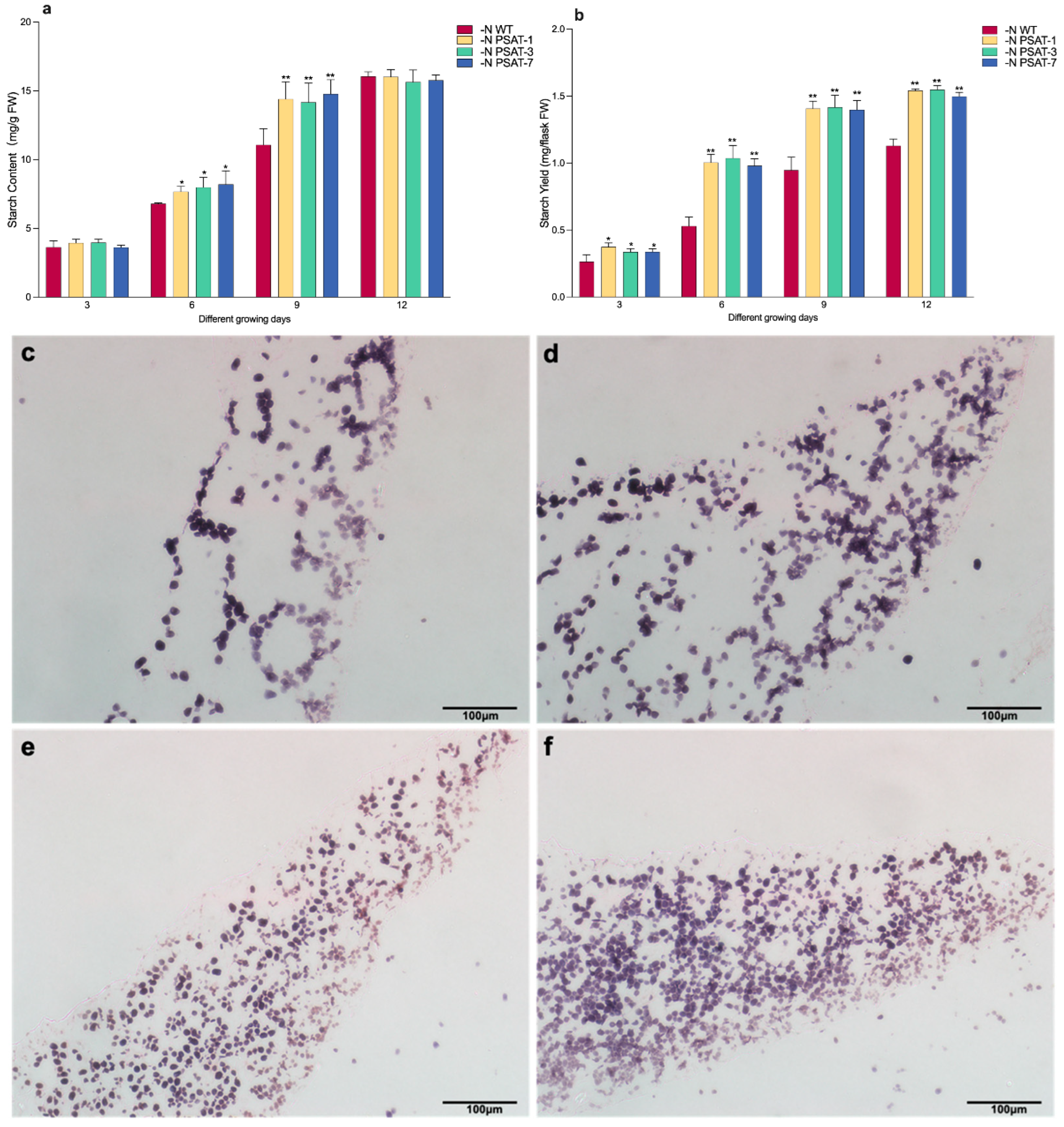 Ijms 23 11563 g004a Ijms 23 11563 g004a