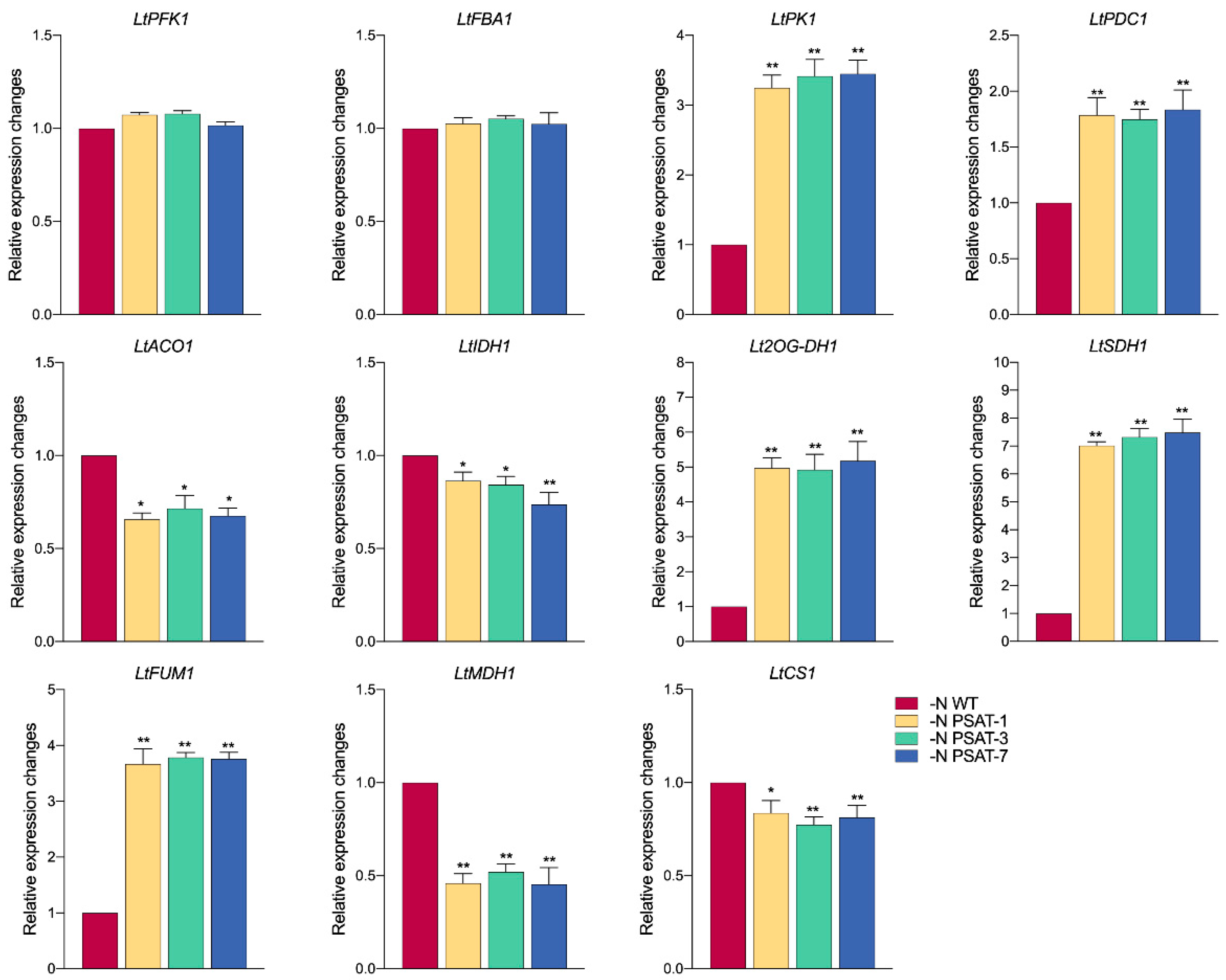 Ijms 23 11563 g008 Ijms 23 11563 g008