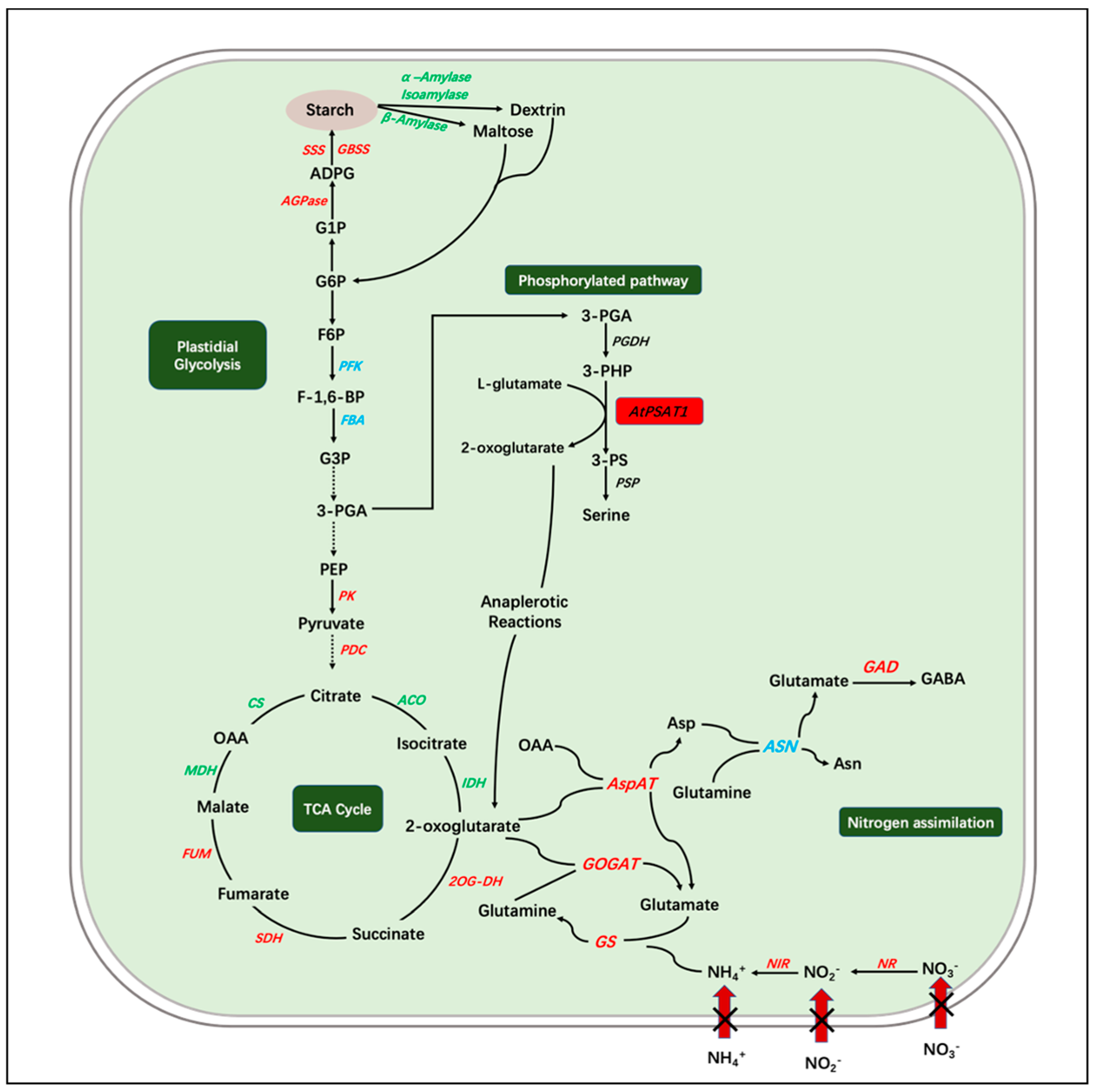 Ijms 23 11563 g009 Ijms 23 11563 g009