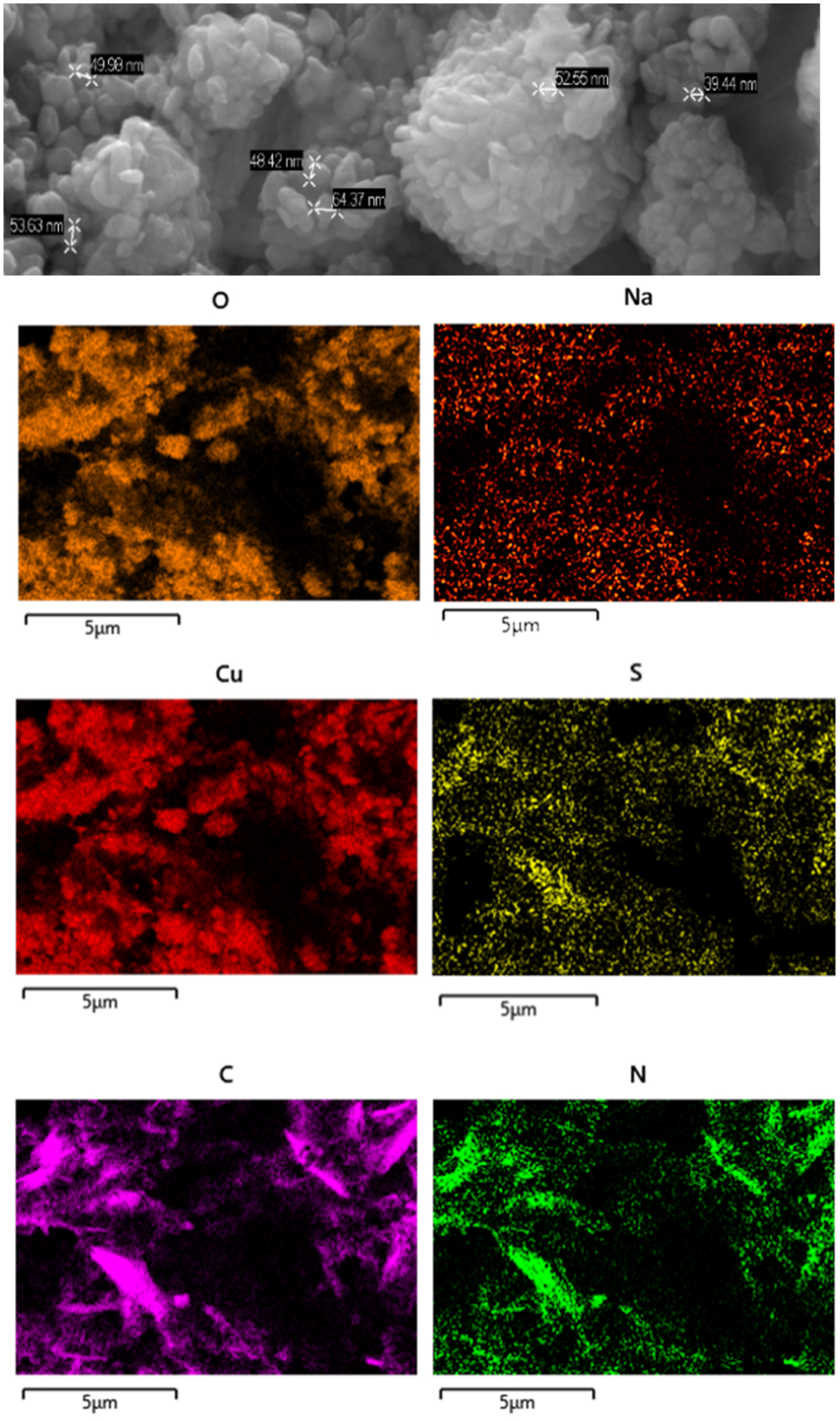 Ijms 23 11565 g011 550