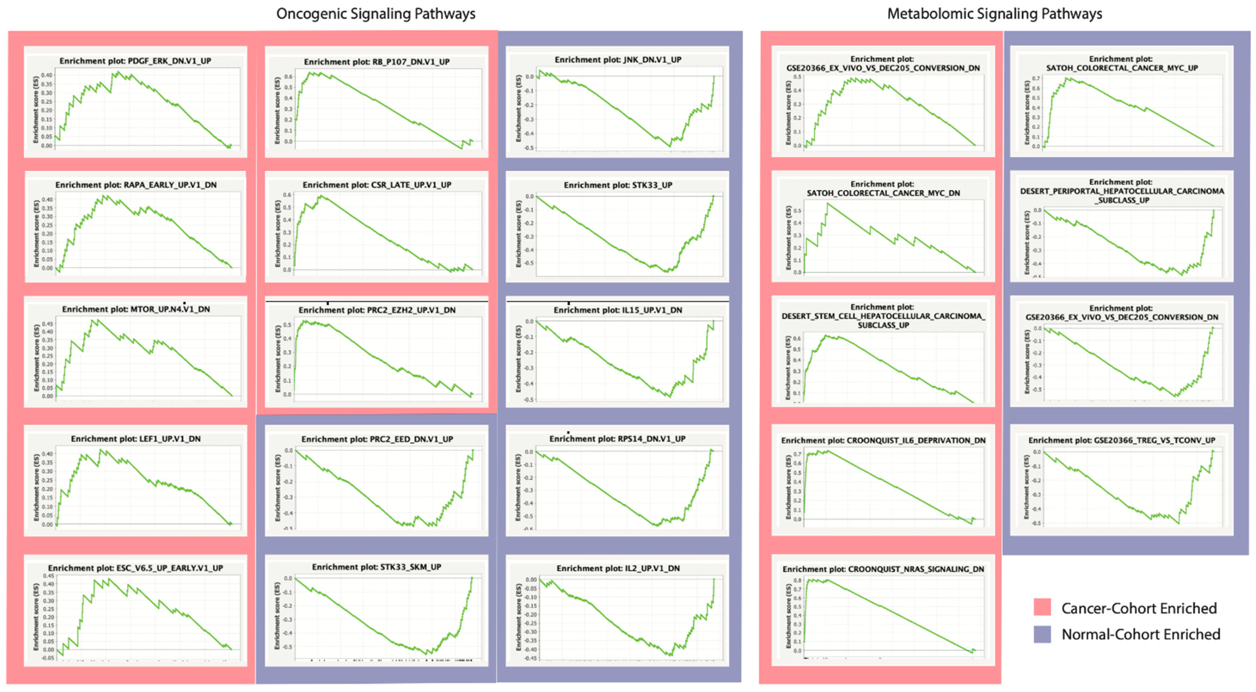 Ijms 23 11566 g005 550