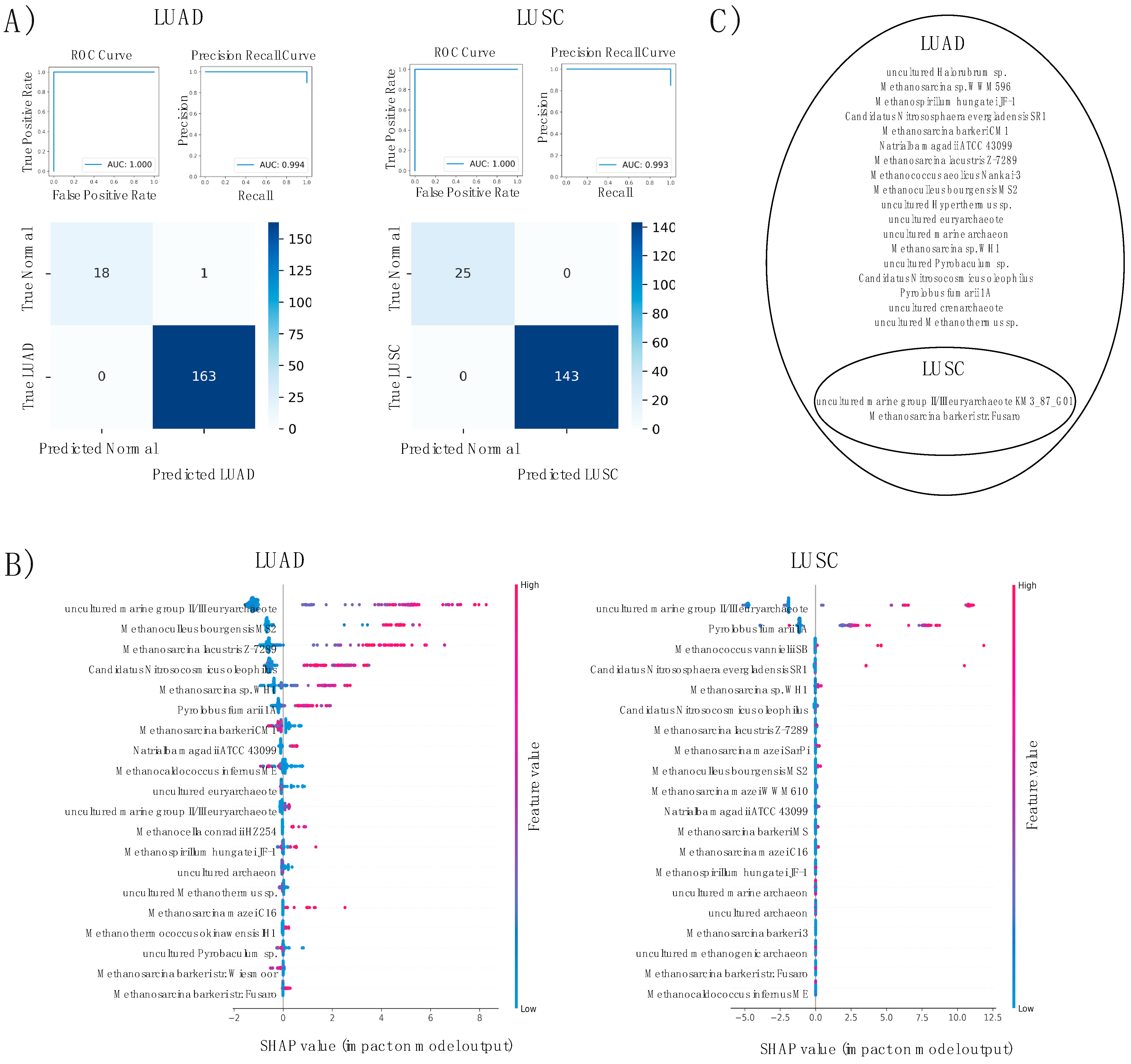 Ijms 23 11566 g007 550