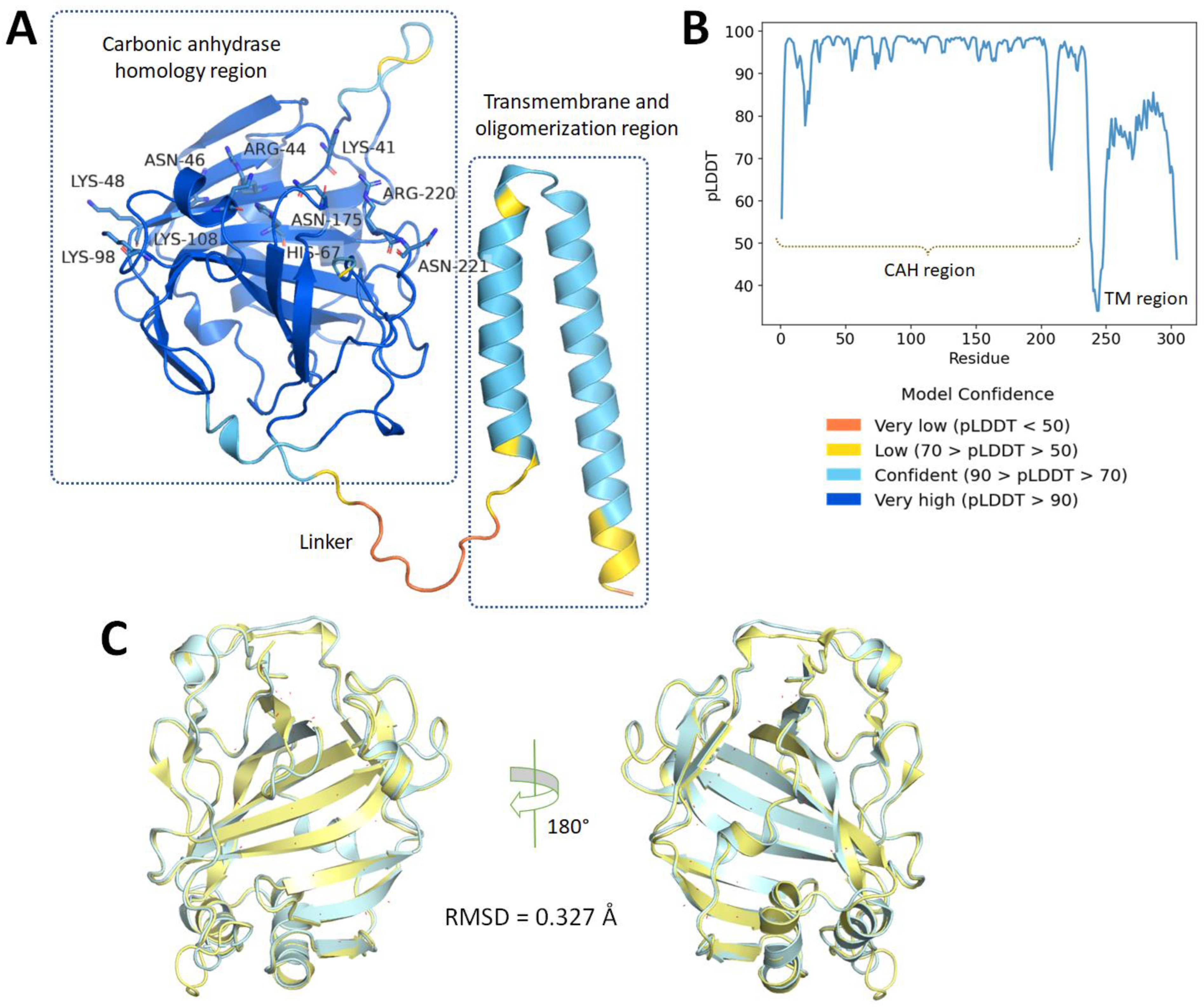 Ijms 23 11570 g002 Ijms 23 11570 g002