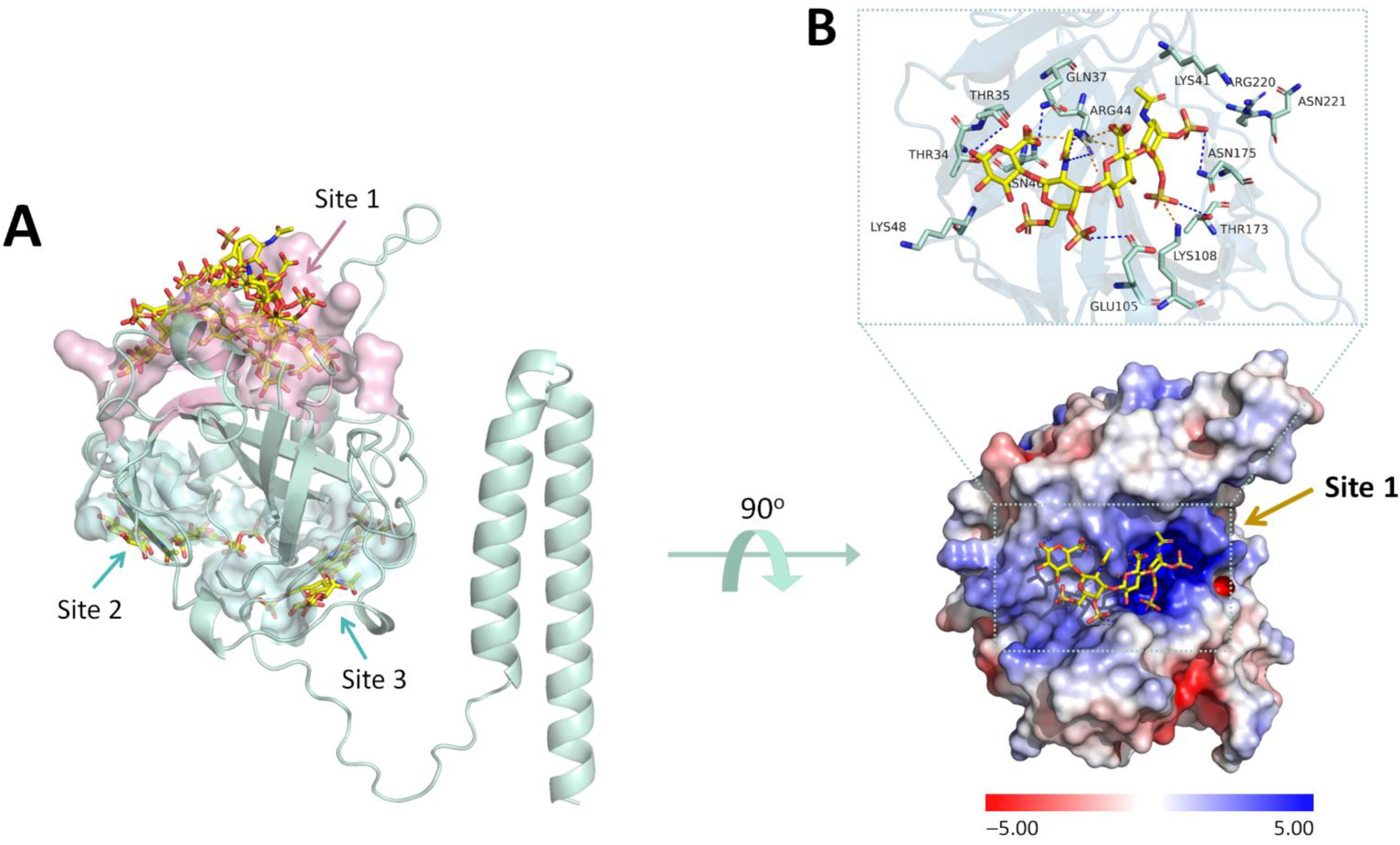Ijms 23 11570 g003 Ijms 23 11570 g003
