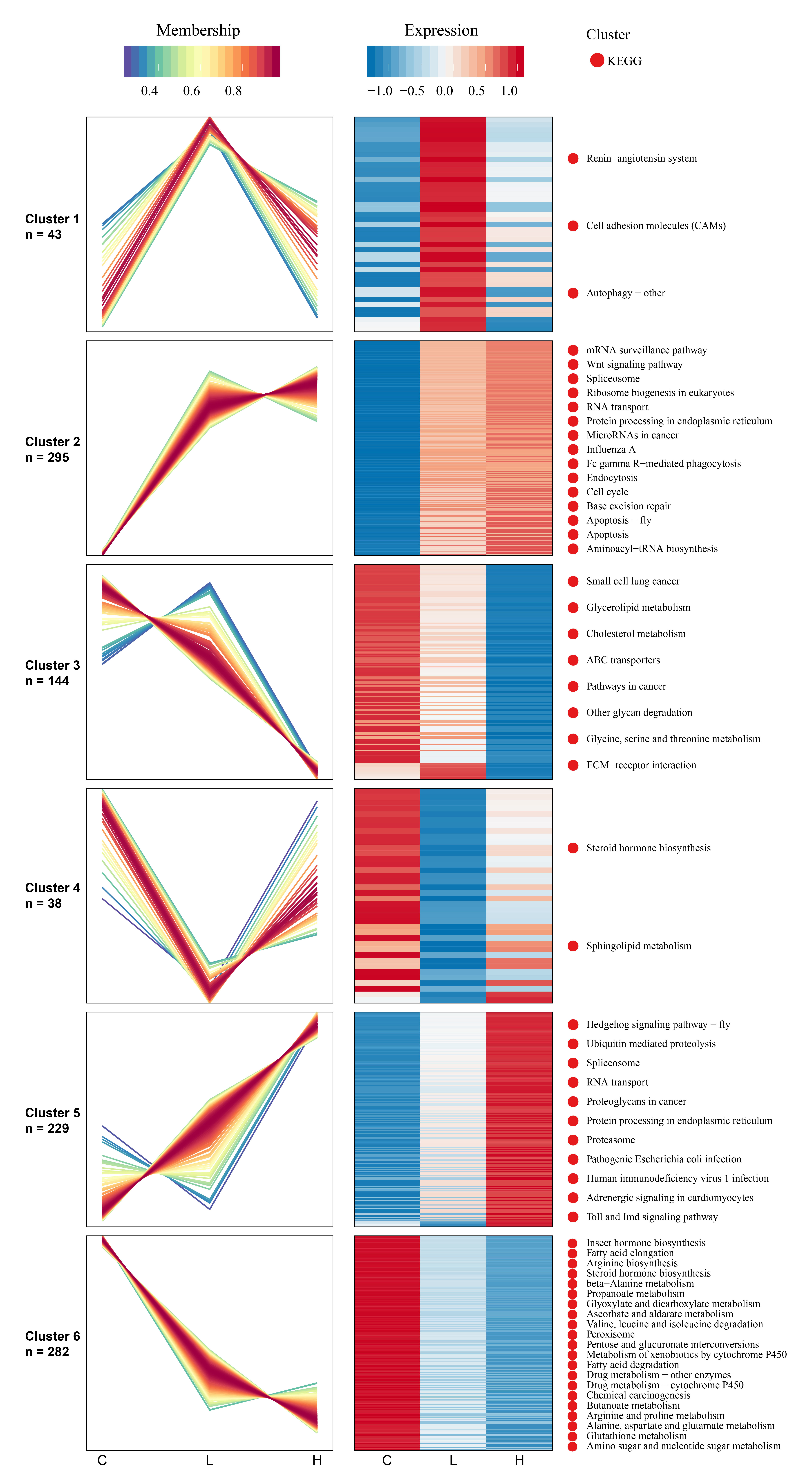 Ijms 23 11574 g004 Ijms 23 11574 g004