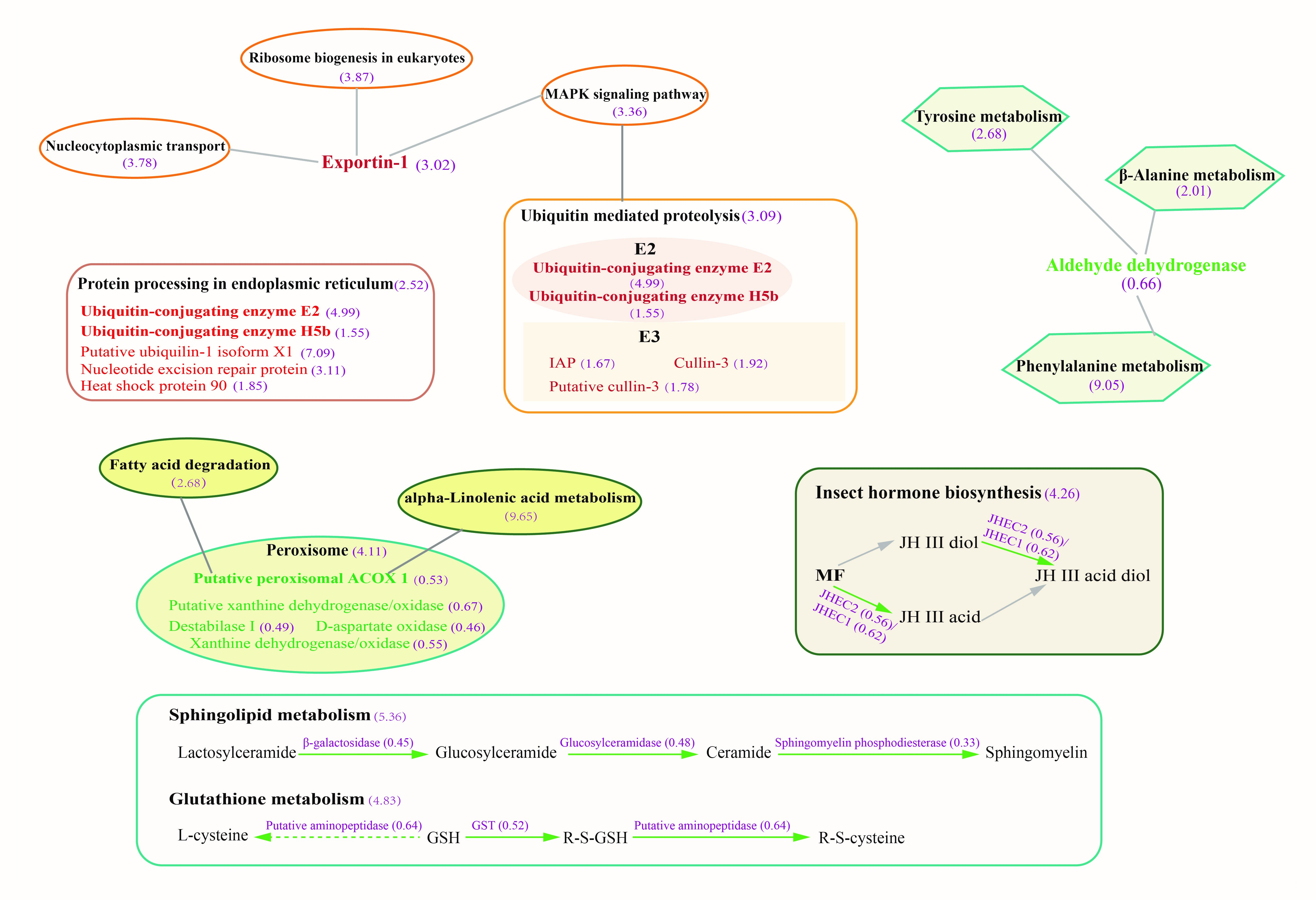 Ijms 23 11574 g005 Ijms 23 11574 g005