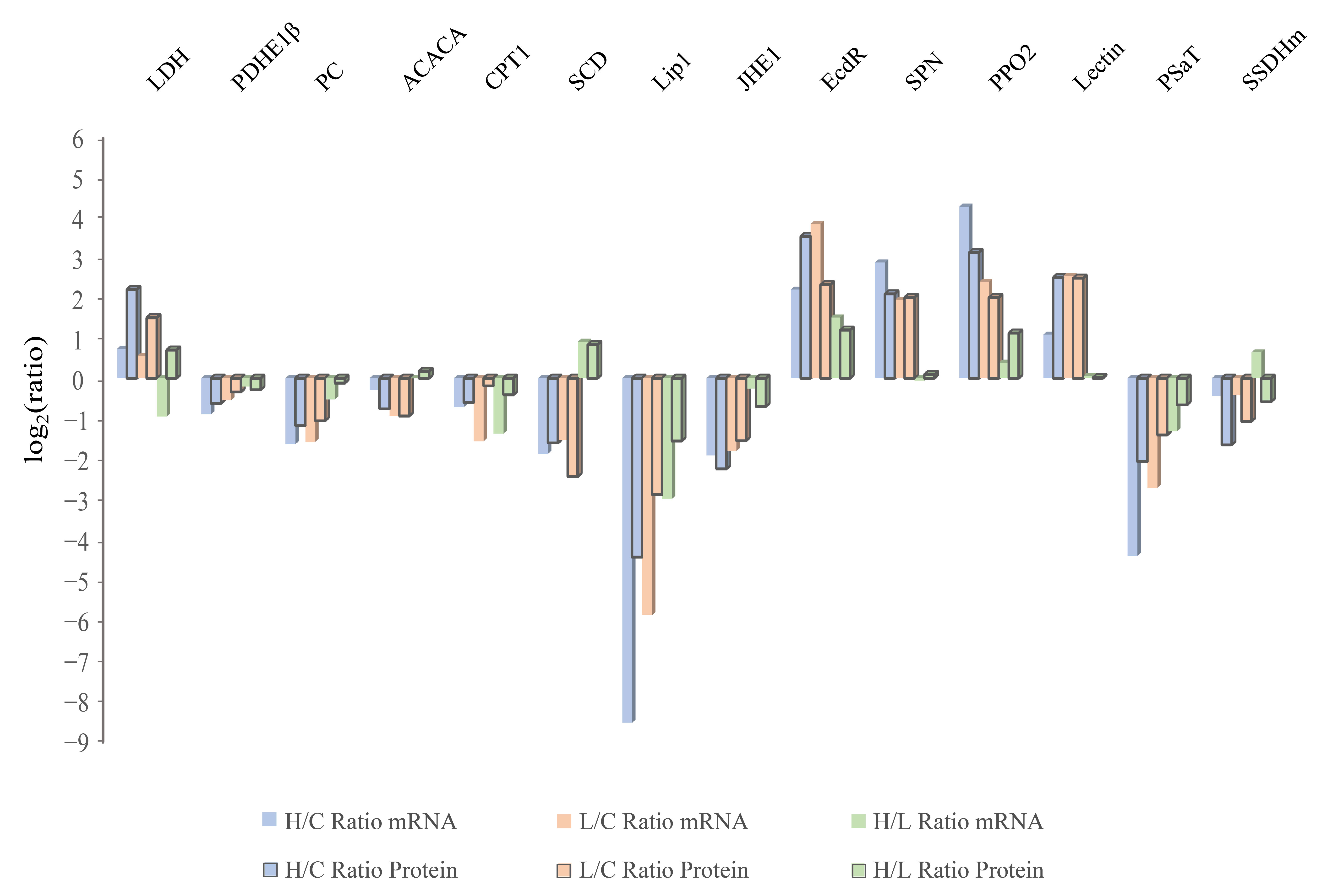 Ijms 23 11574 g006 Ijms 23 11574 g006