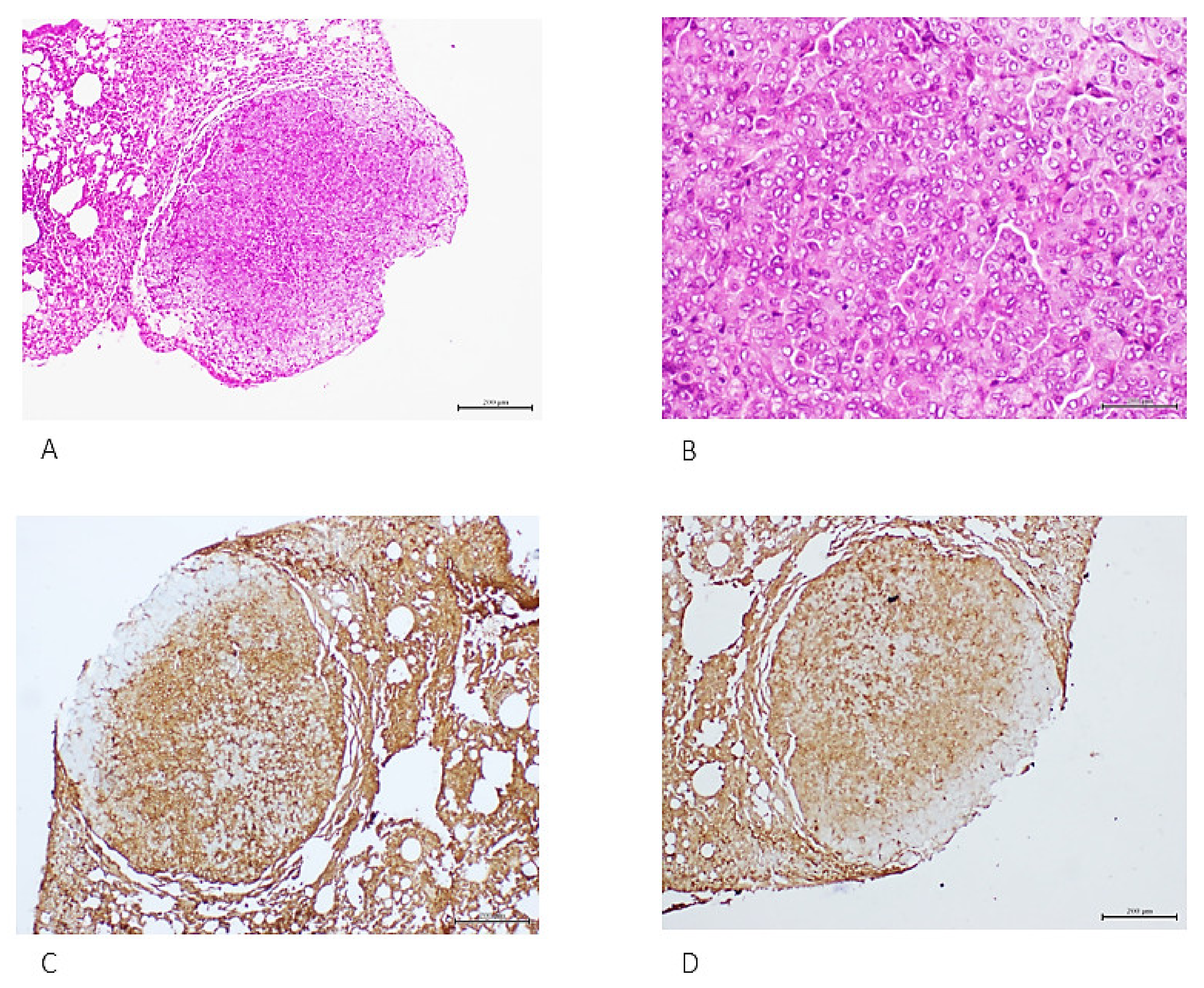 Ijms 23 11575 g003 Ijms 23 11575 g003