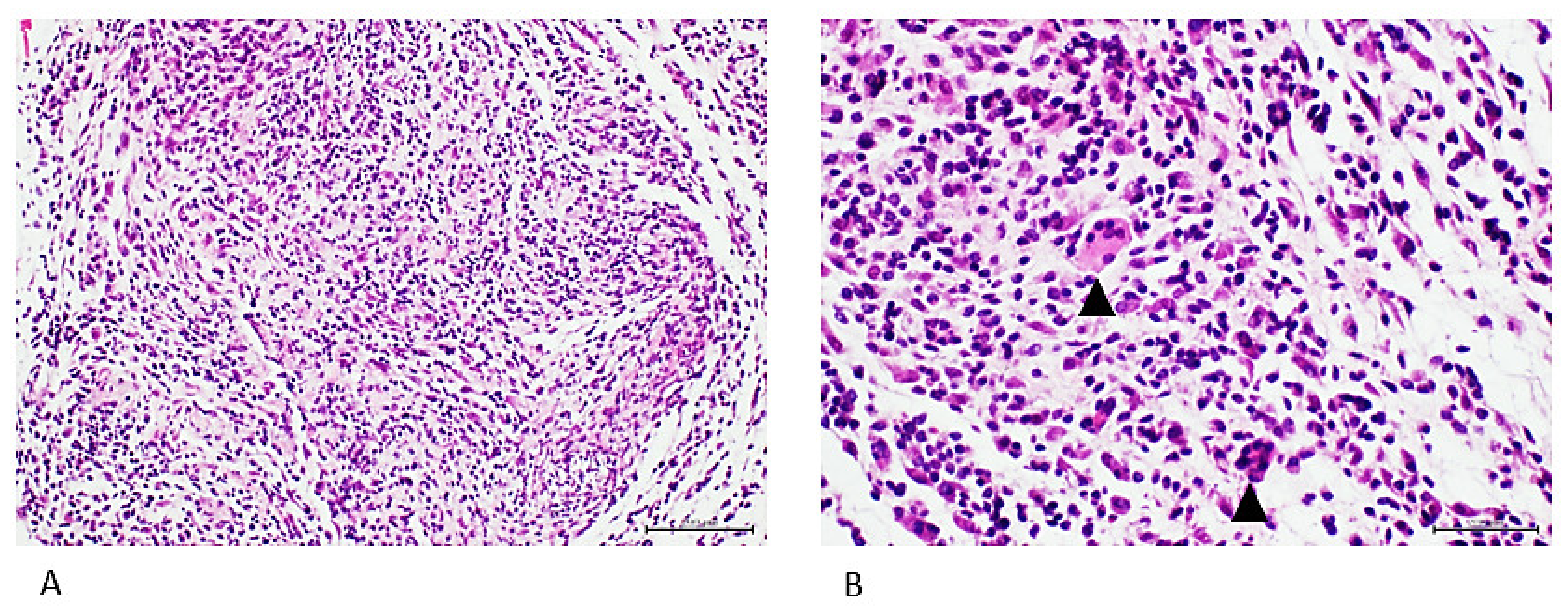 Ijms 23 11575 g004 Ijms 23 11575 g004