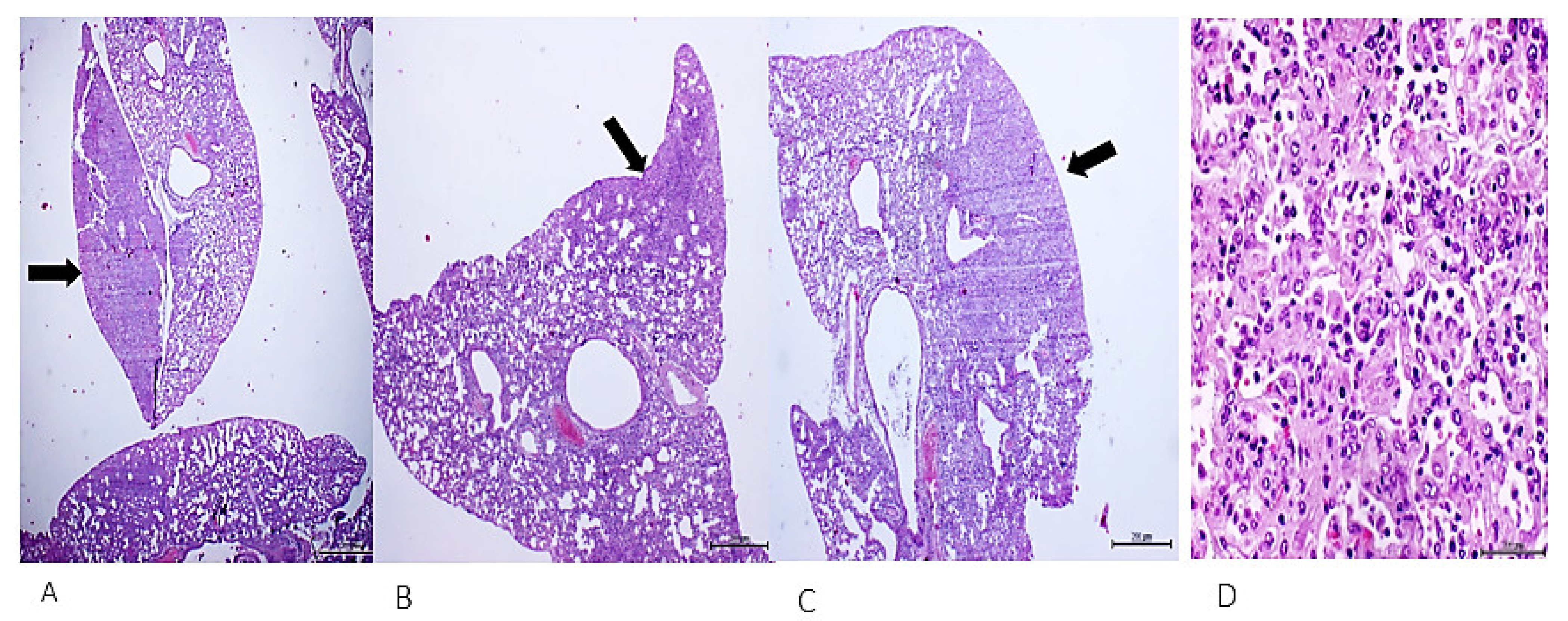 Ijms 23 11575 g005 Ijms 23 11575 g005