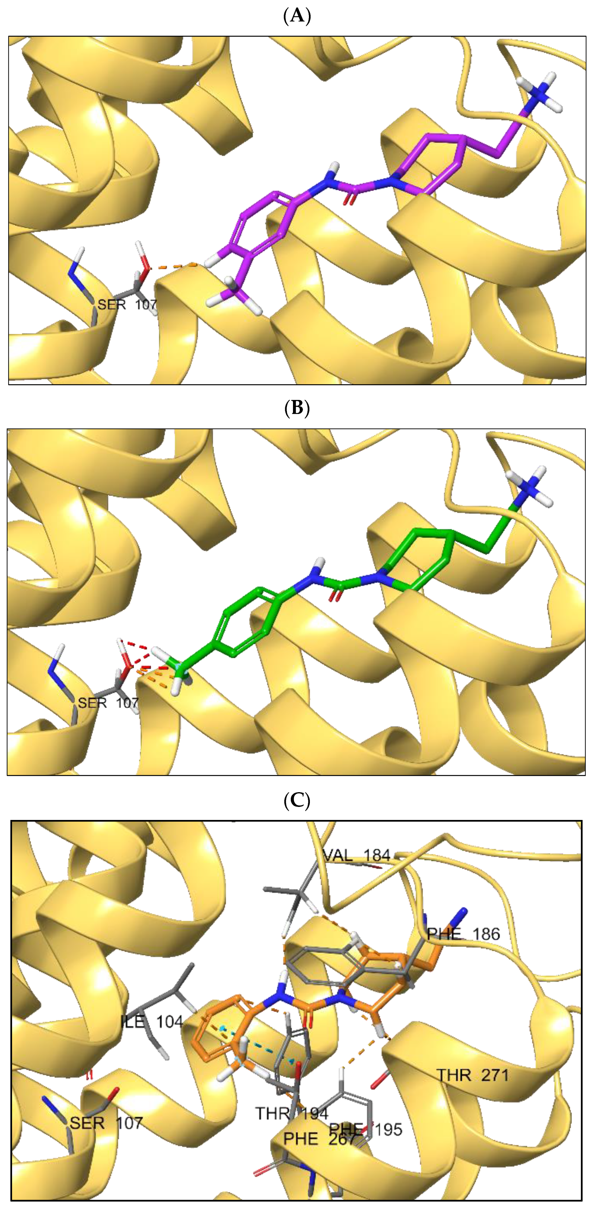 Ijms 23 11579 g004 Ijms 23 11579 g004
