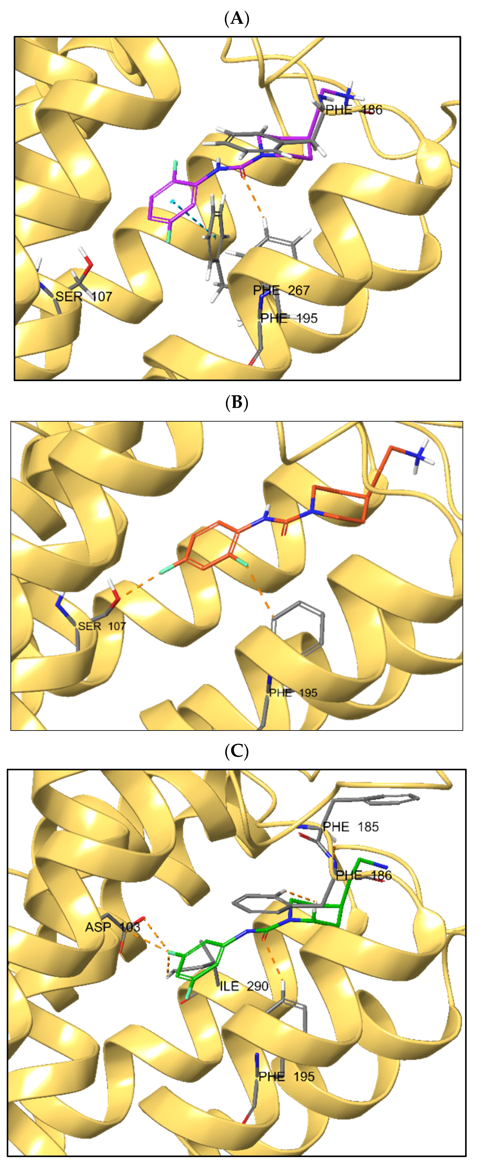 Ijms 23 11579 g005 Ijms 23 11579 g005