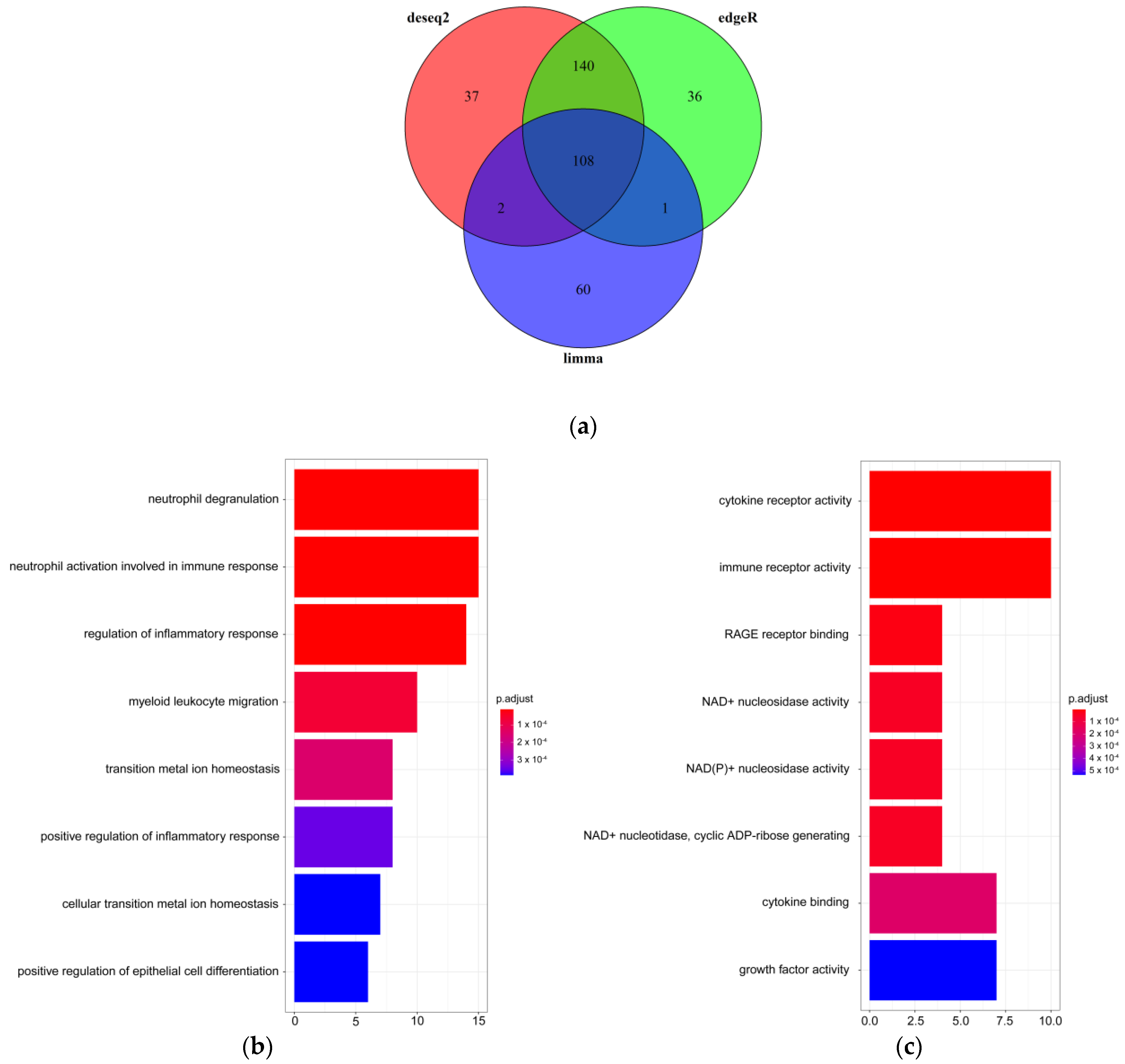 Ijms 23 11581 g002 Ijms 23 11581 g002