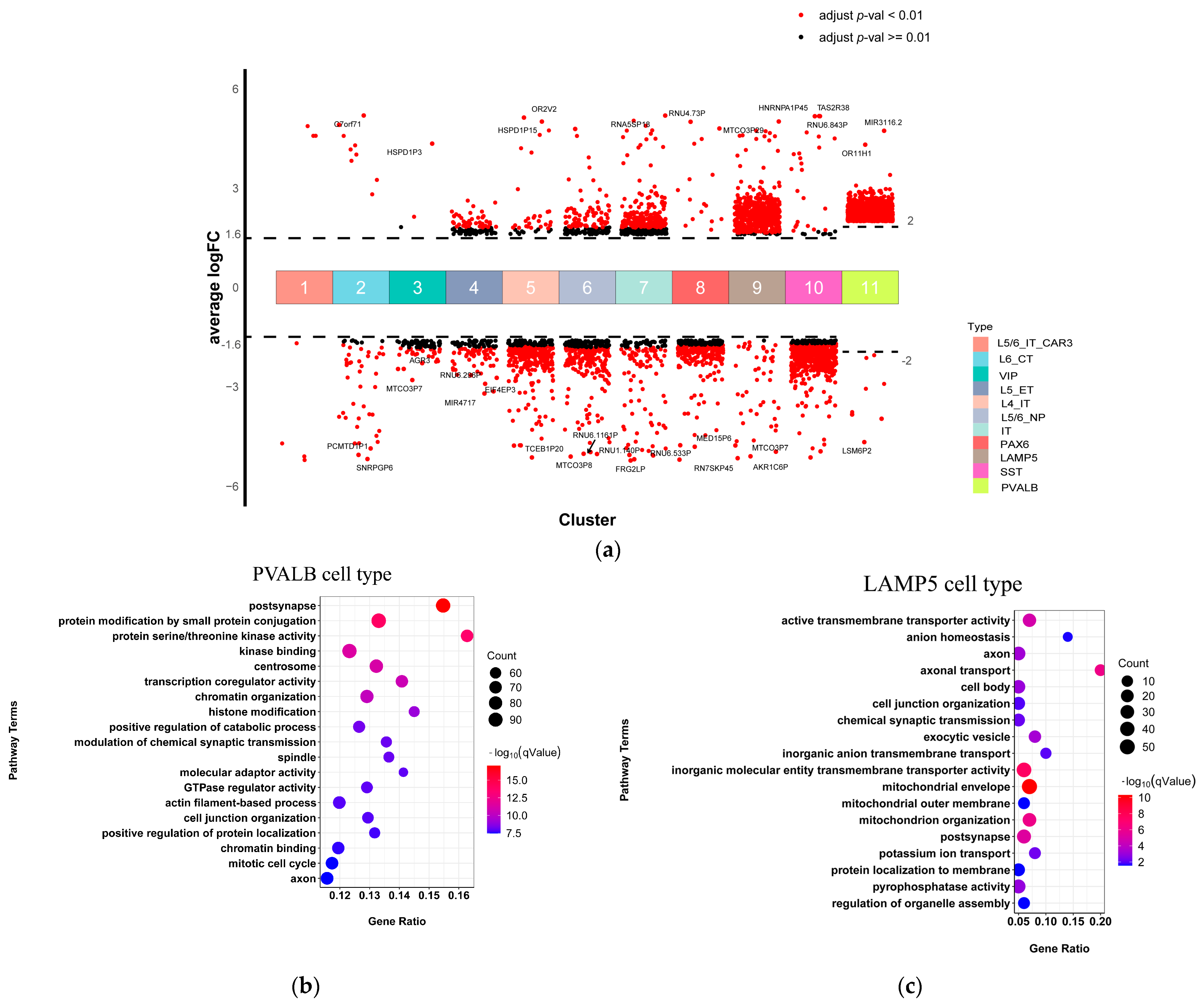 Ijms 23 11581 g003a Ijms 23 11581 g003a