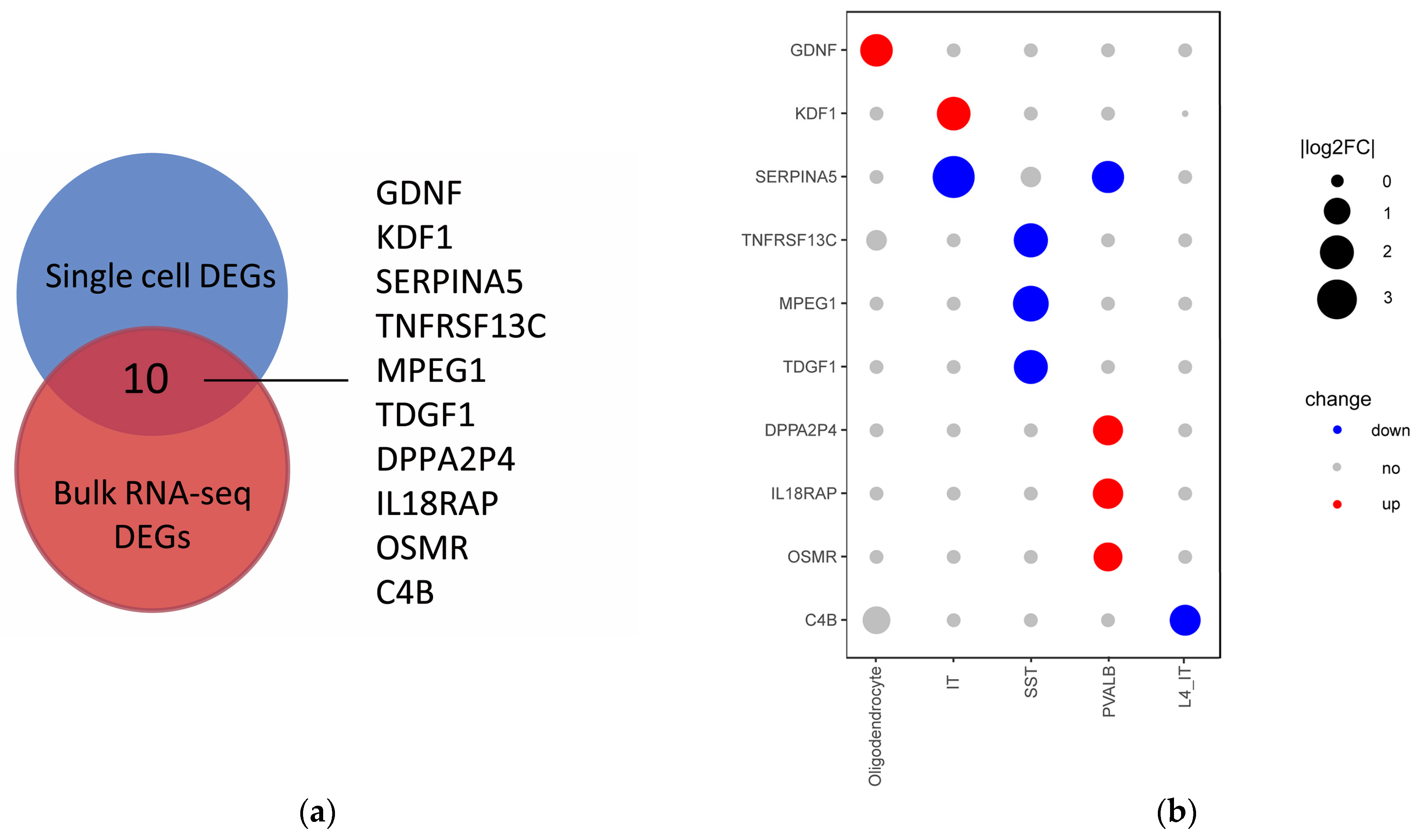 Ijms 23 11581 g005 Ijms 23 11581 g005