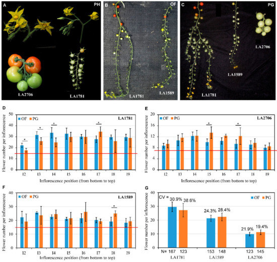 Comparative Analysis of Environment-Responsive Alternative 