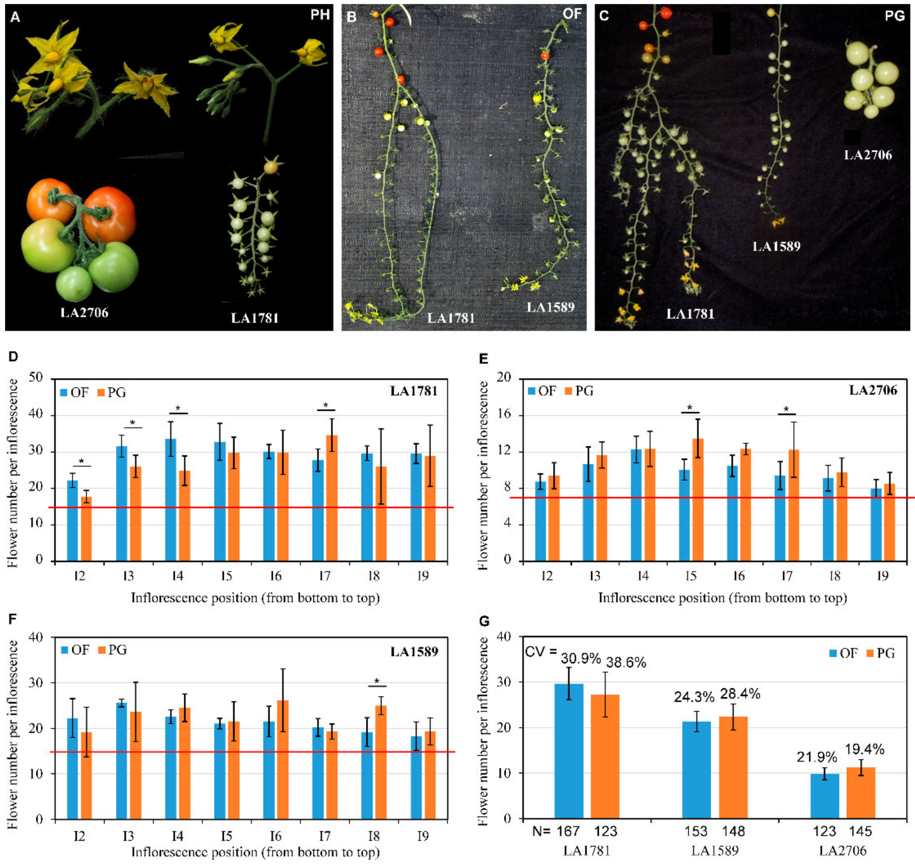 Ijms 23 11585 g001 Ijms 23 11585 g001