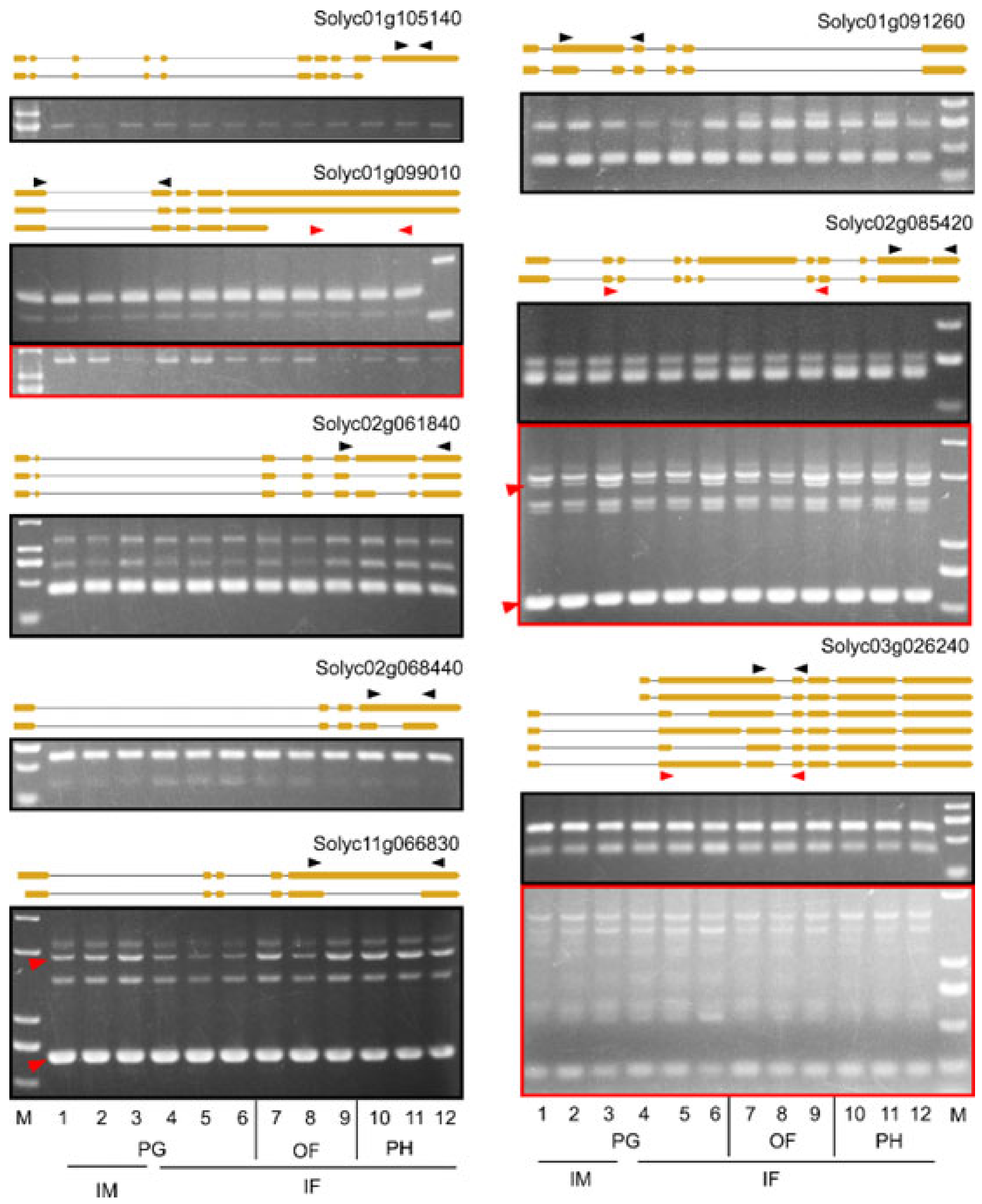 Ijms 23 11585 g003 Ijms 23 11585 g003